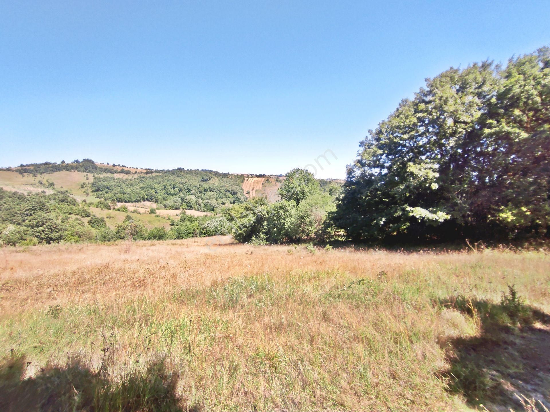 Yenişehir Kirazlı Yayala Da Doğa Manzaralı - 2378 -m2- Tarla - Görsel 2