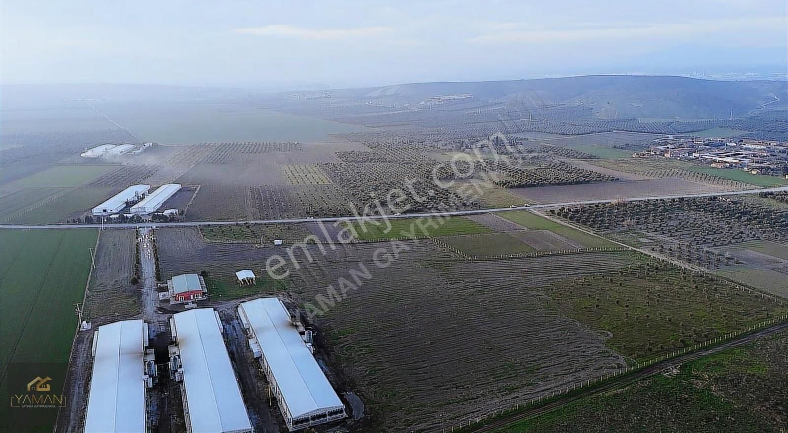 Rahmiye Mah Yol Kenarı 1000 M² Satılık Arsa | Köye Yakın - Görsel 13