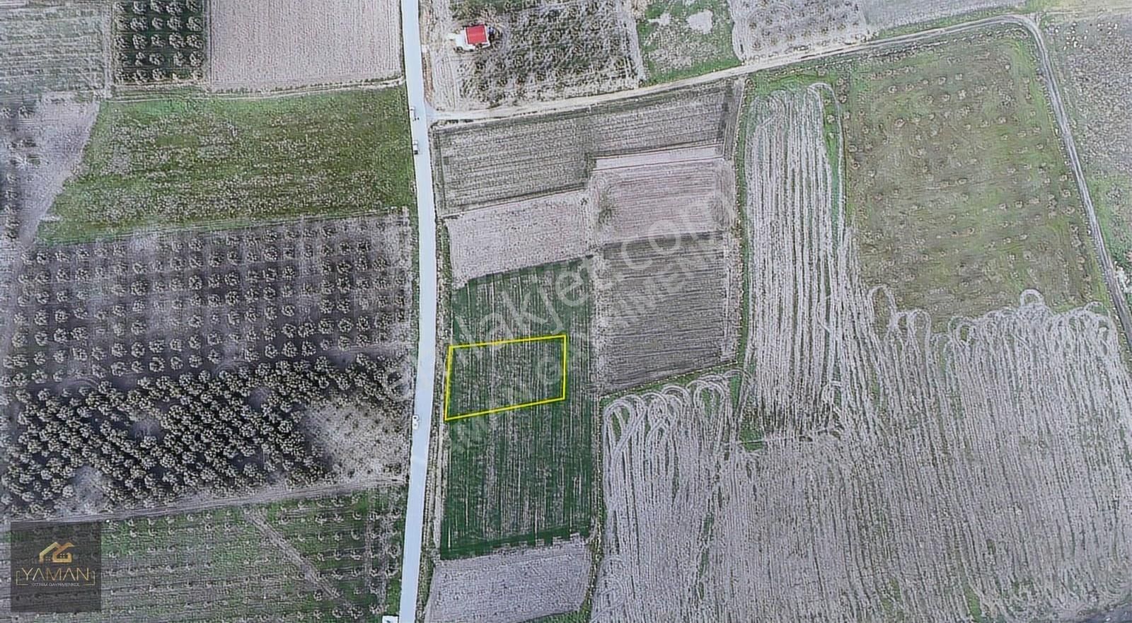 Rahmiye Mah Yol Kenarı 1000 M² Satılık Arsa | Köye Yakın - Görsel 6