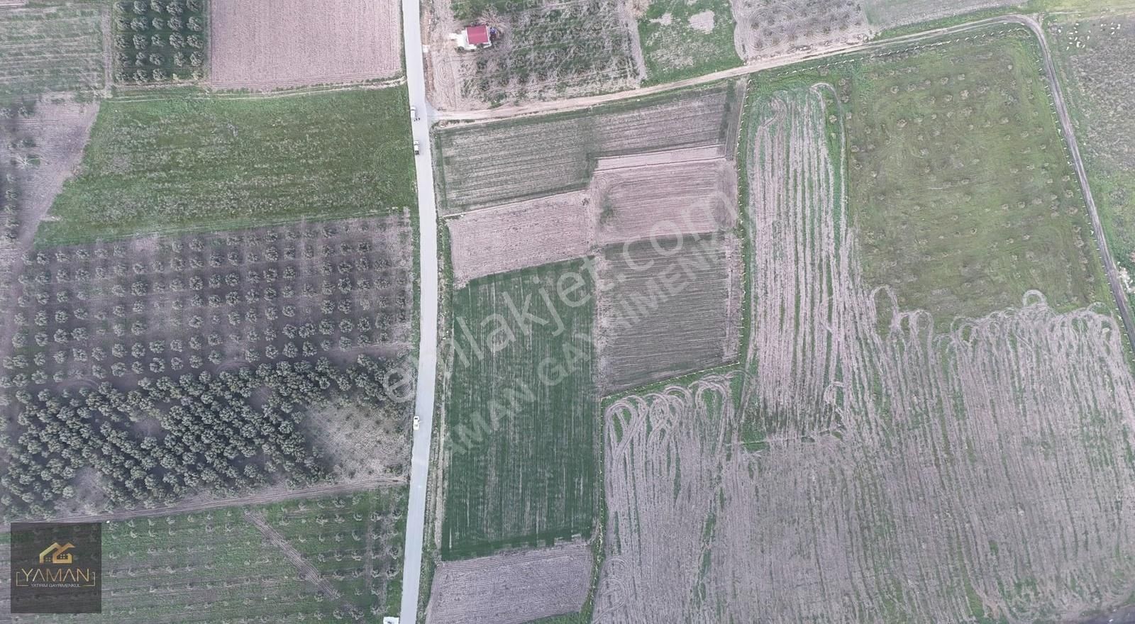 Rahmiye Mah Yol Kenarı 1000 M² Satılık Arsa | Köye Yakın - Görsel 12