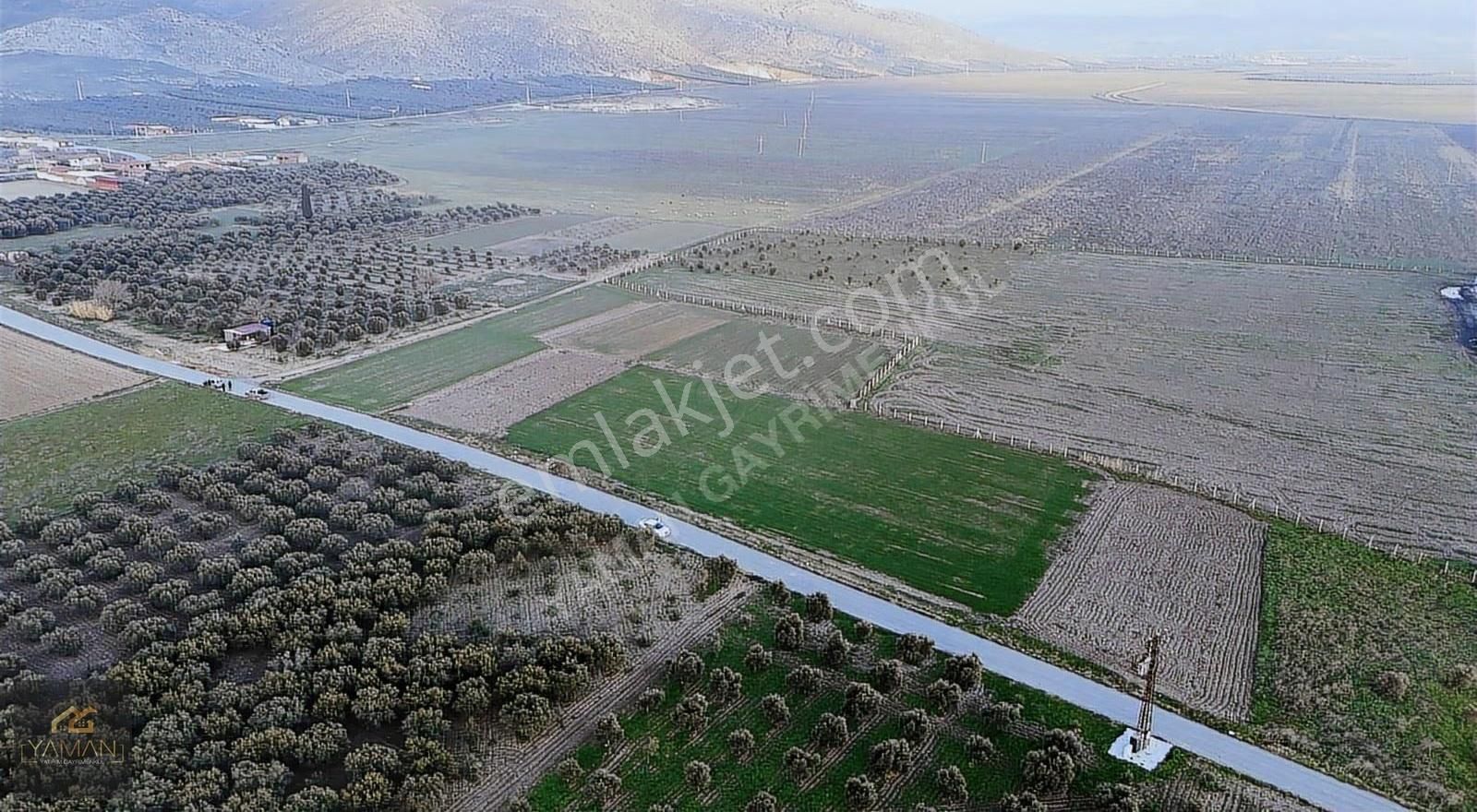 Rahmiye Mah Yol Kenarı 1000 M² Satılık Arsa | Köye Yakın - Görsel 18