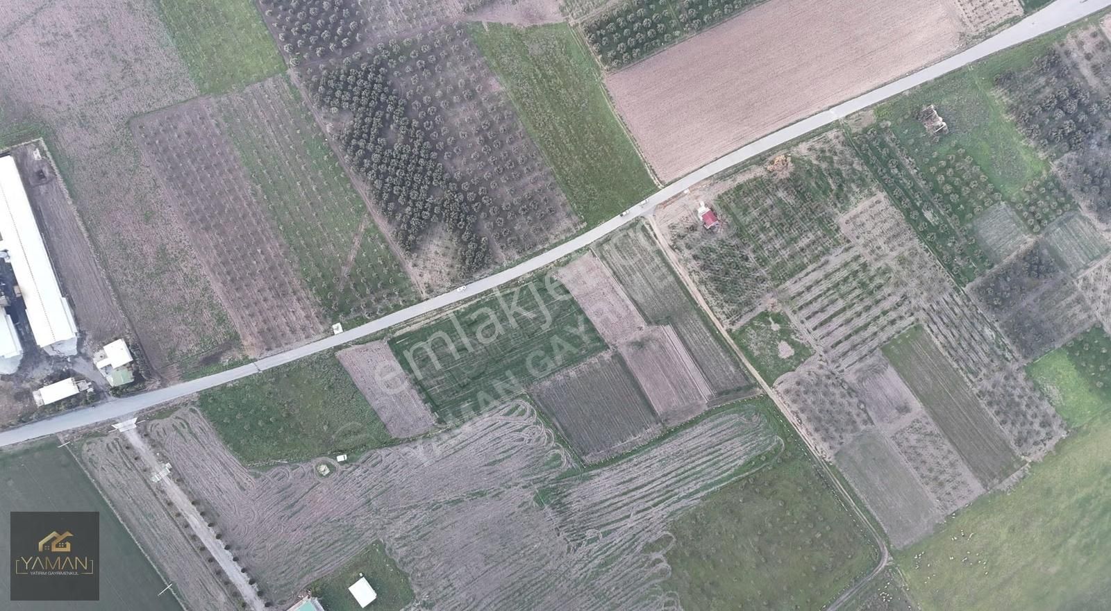 Rahmiye Mah Yol Kenarı 1000 M² Satılık Arsa | Köye Yakın - Görsel 29