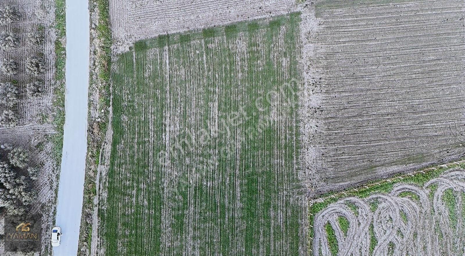 Rahmiye Mah Yol Kenarı 1000 M² Satılık Arsa | Köye Yakın - Görsel 10