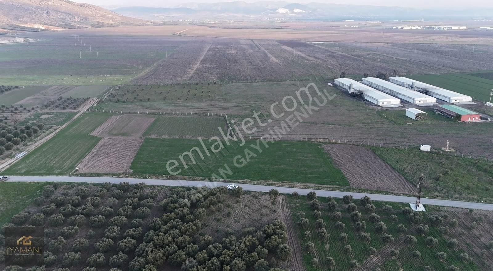 Rahmiye Mah Yol Kenarı 1000 M² Satılık Arsa | Köye Yakın - Görsel 17