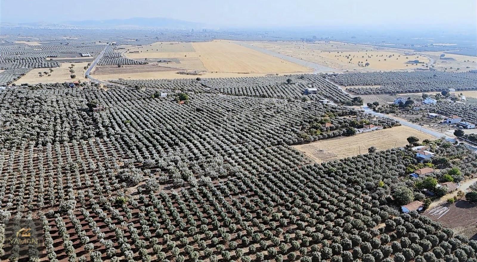 Akhisar Karasonya Mevkii,sındırgı Yolu Üzeri Satılık Tarla - Görsel 7