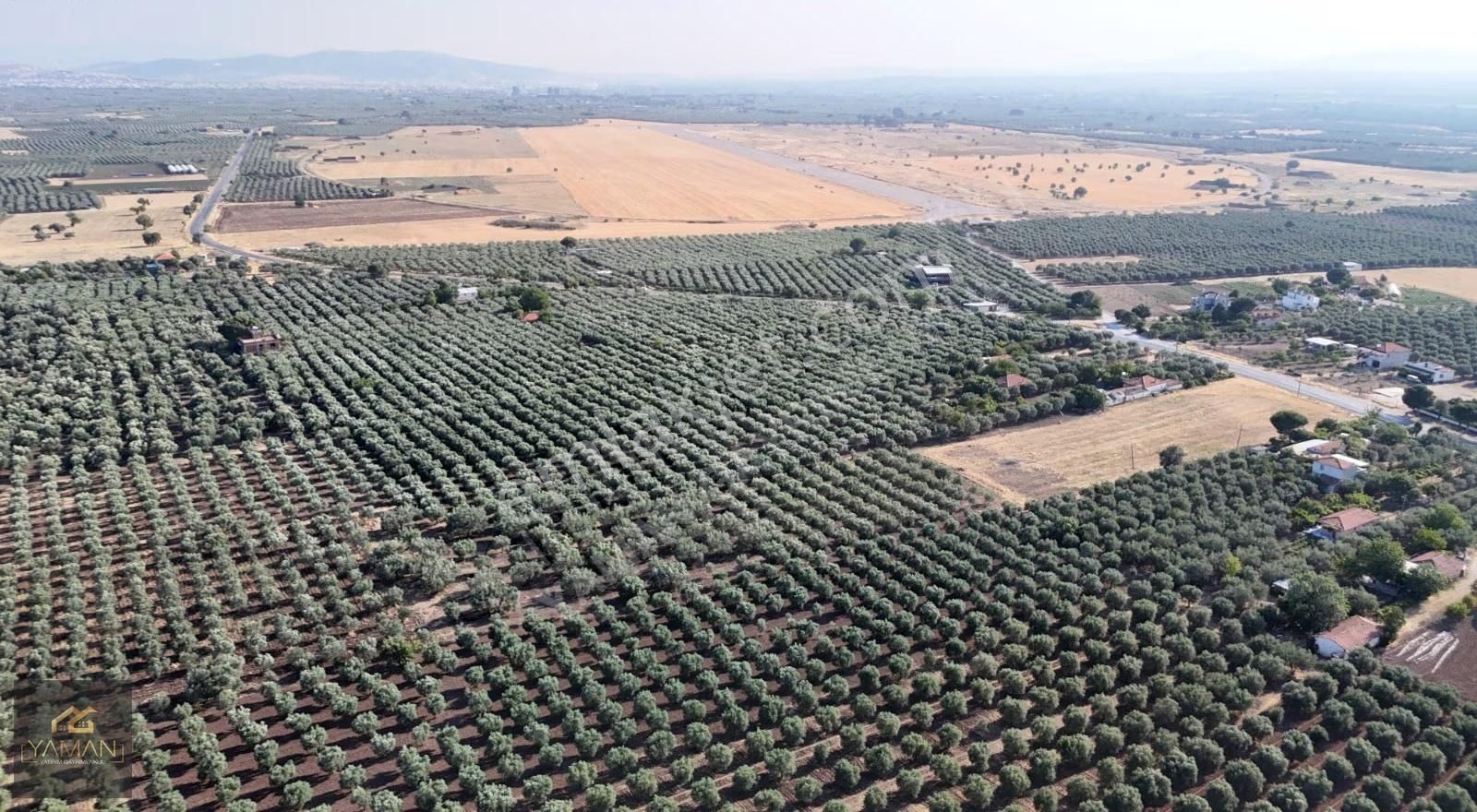 Akhisar Karasonya Mevkii,sındırgı Yolu Üzeri Satılık Tarla - Görsel 11