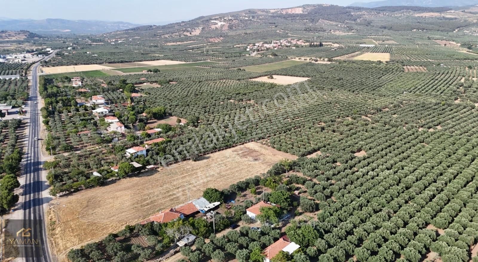 Akhisar Karasonya Mevkii,sındırgı Yolu Üzeri Satılık Tarla - Görsel 12