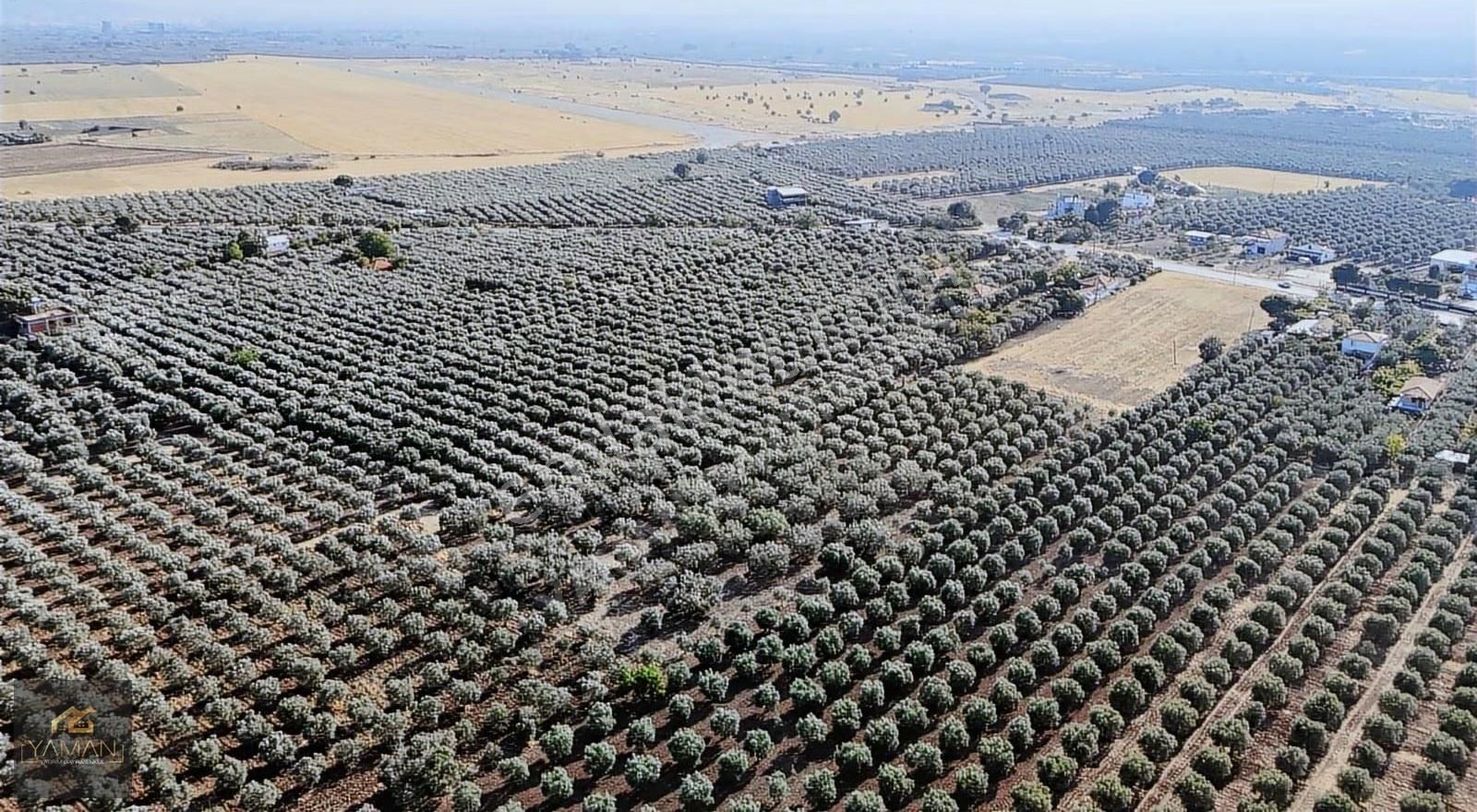 Akhisar Karasonya Mevkii,sındırgı Yolu Üzeri Satılık Tarla - Görsel 13