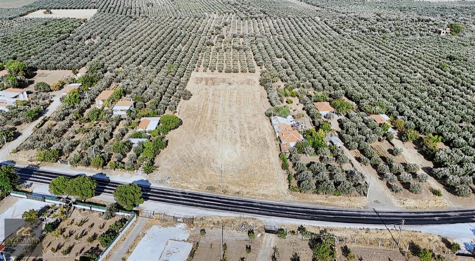 Akhisar Karasonya Mevkii,sındırgı Yolu Üzeri Satılık Tarla - Görsel 9