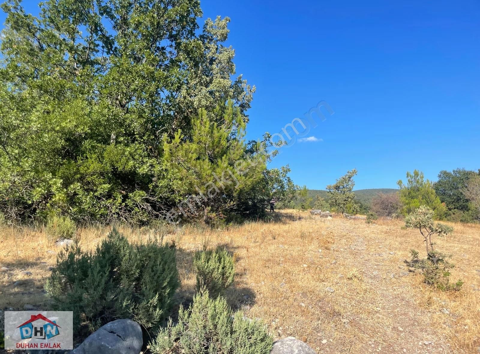 Balıkesir - Kütahya Karayoluna 3 Km Hayvancılık İzinleri Alınmış - Görsel 13