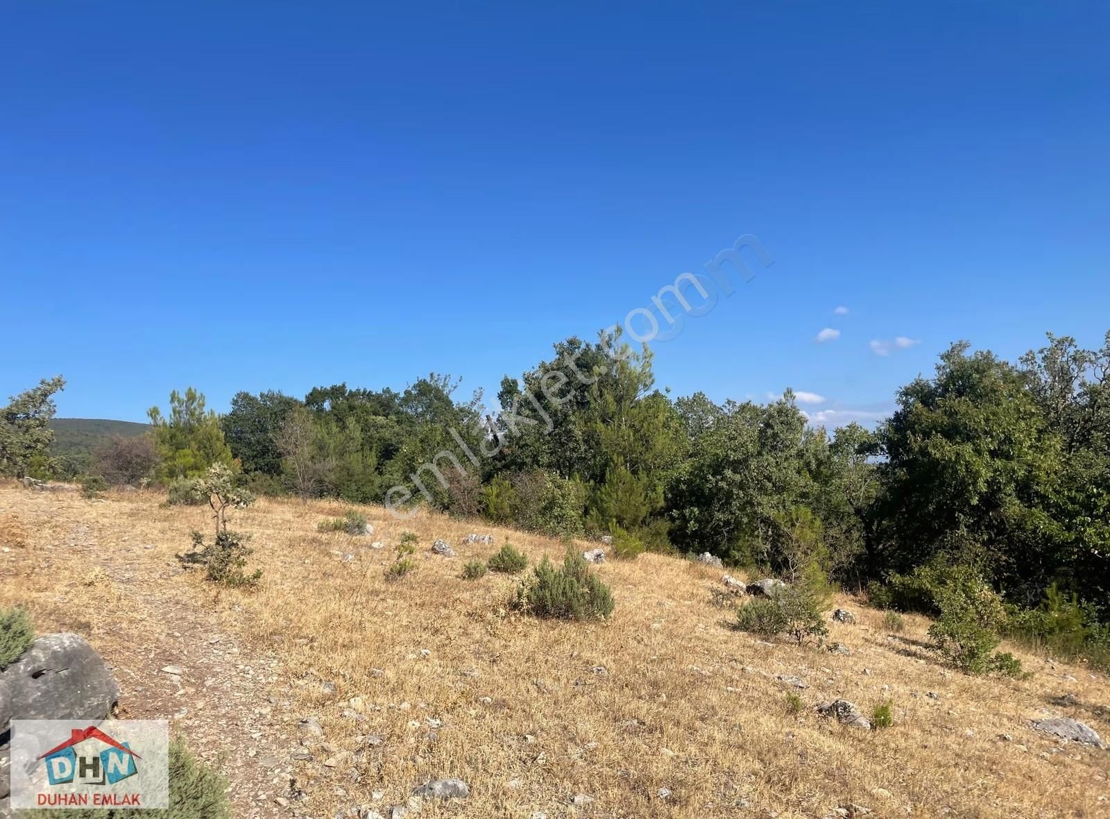 Balıkesir - Kütahya Karayoluna 3 Km Hayvancılık İzinleri Alınmış - Görsel 15