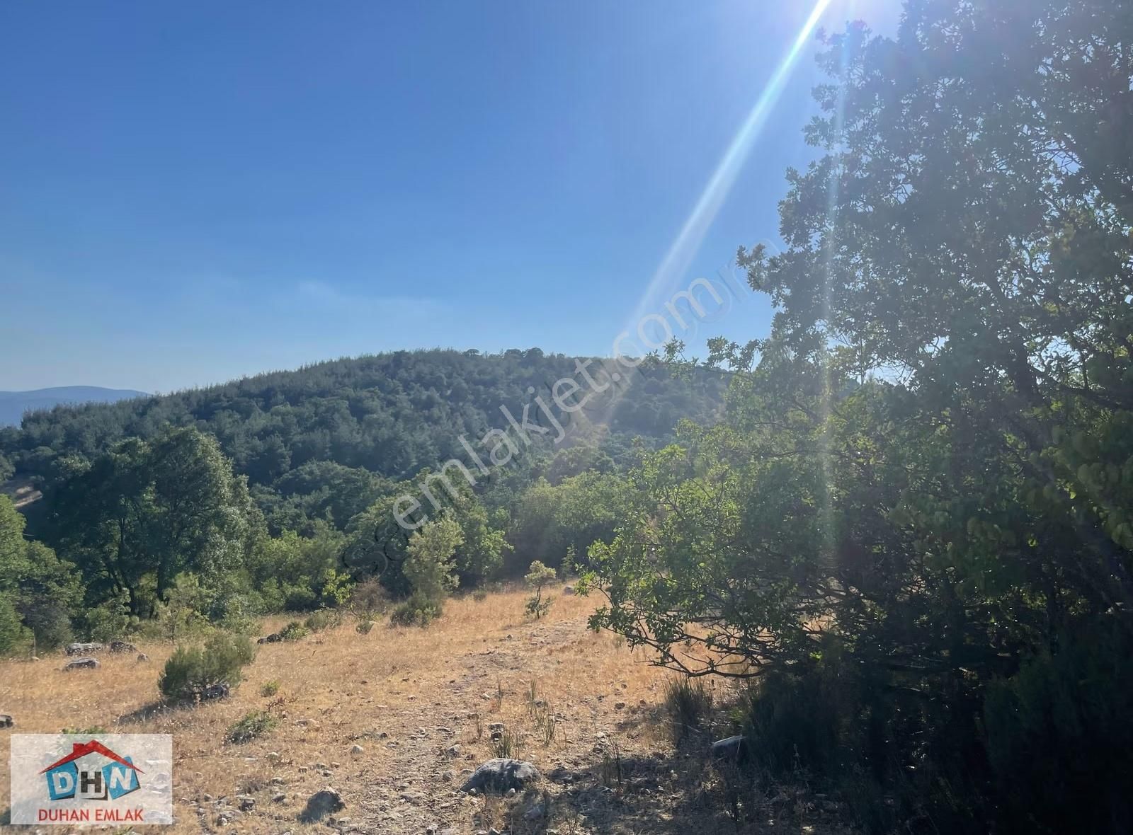 Balıkesir - Kütahya Karayoluna 3 Km Hayvancılık İzinleri Alınmış - Görsel 3