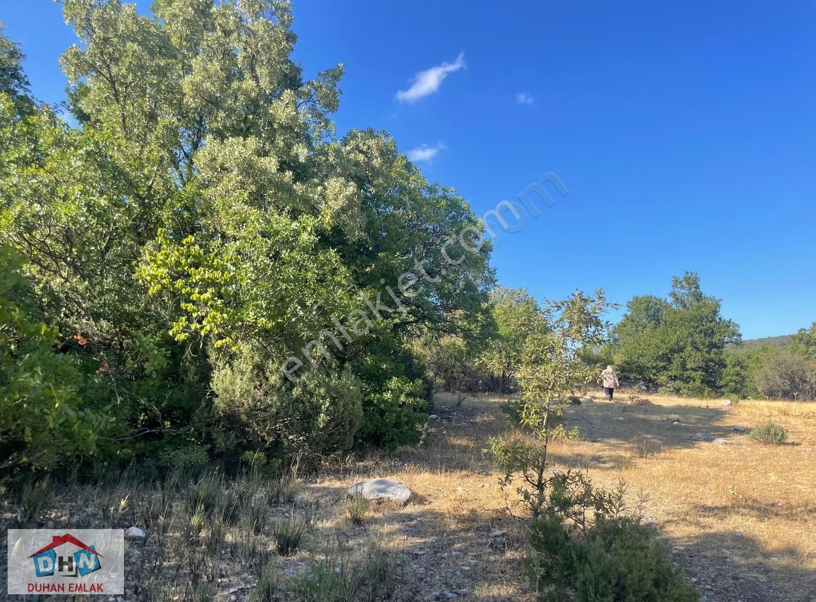 Balıkesir - Kütahya Karayoluna 3 Km Hayvancılık İzinleri Alınmış - Görsel 5