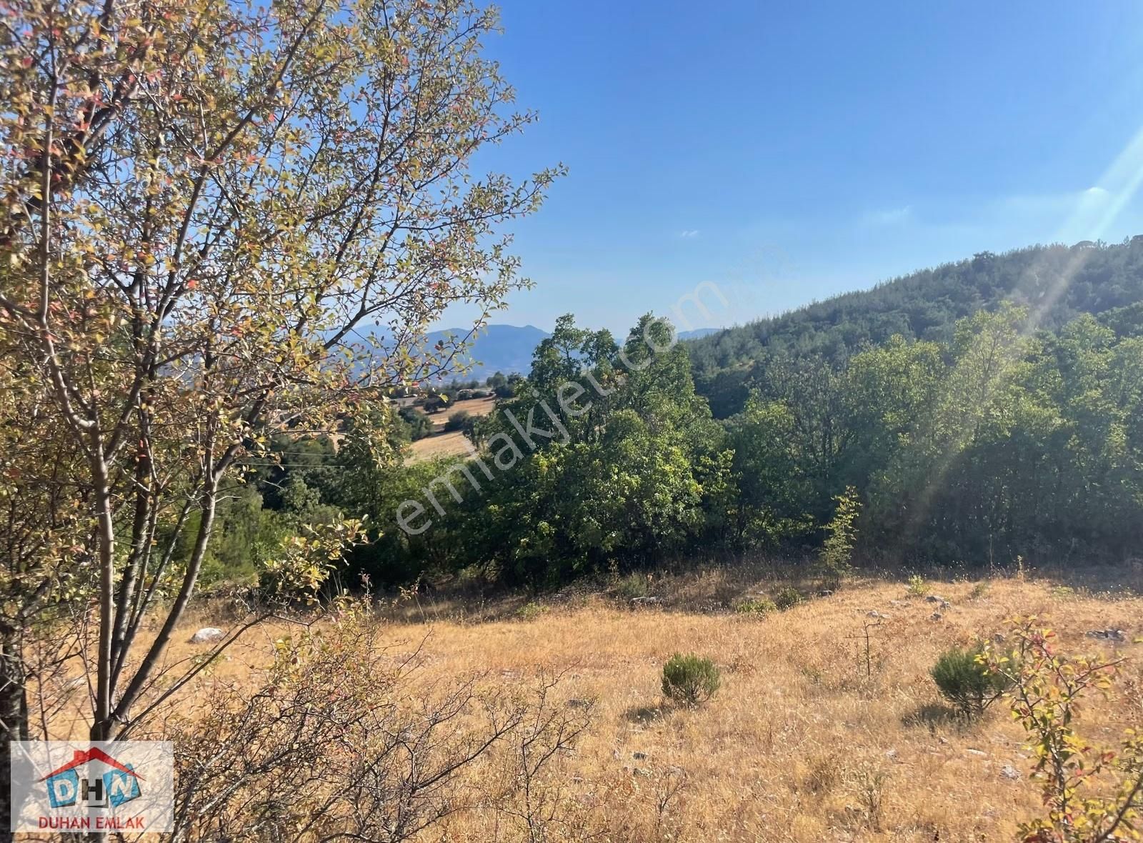 Balıkesir - Kütahya Karayoluna 3 Km Hayvancılık İzinleri Alınmış - Görsel 17