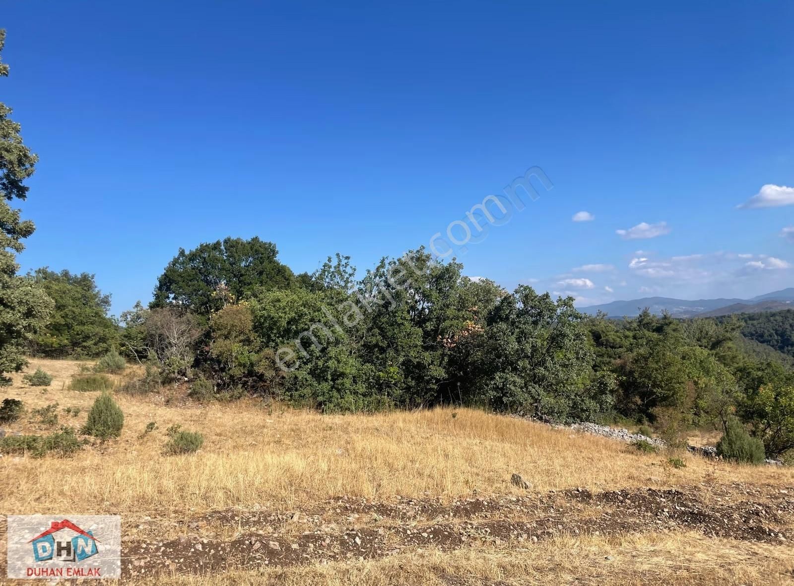 Balıkesir - Kütahya Karayoluna 3 Km Hayvancılık İzinleri Alınmış - Görsel 25