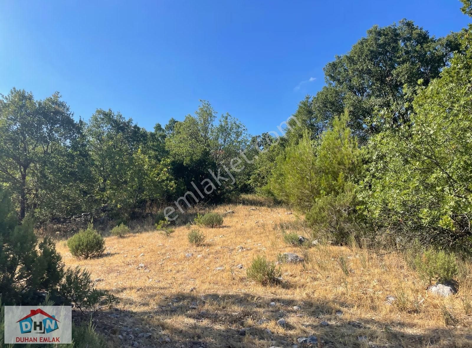 Balıkesir - Kütahya Karayoluna 3 Km Hayvancılık İzinleri Alınmış - Görsel 9