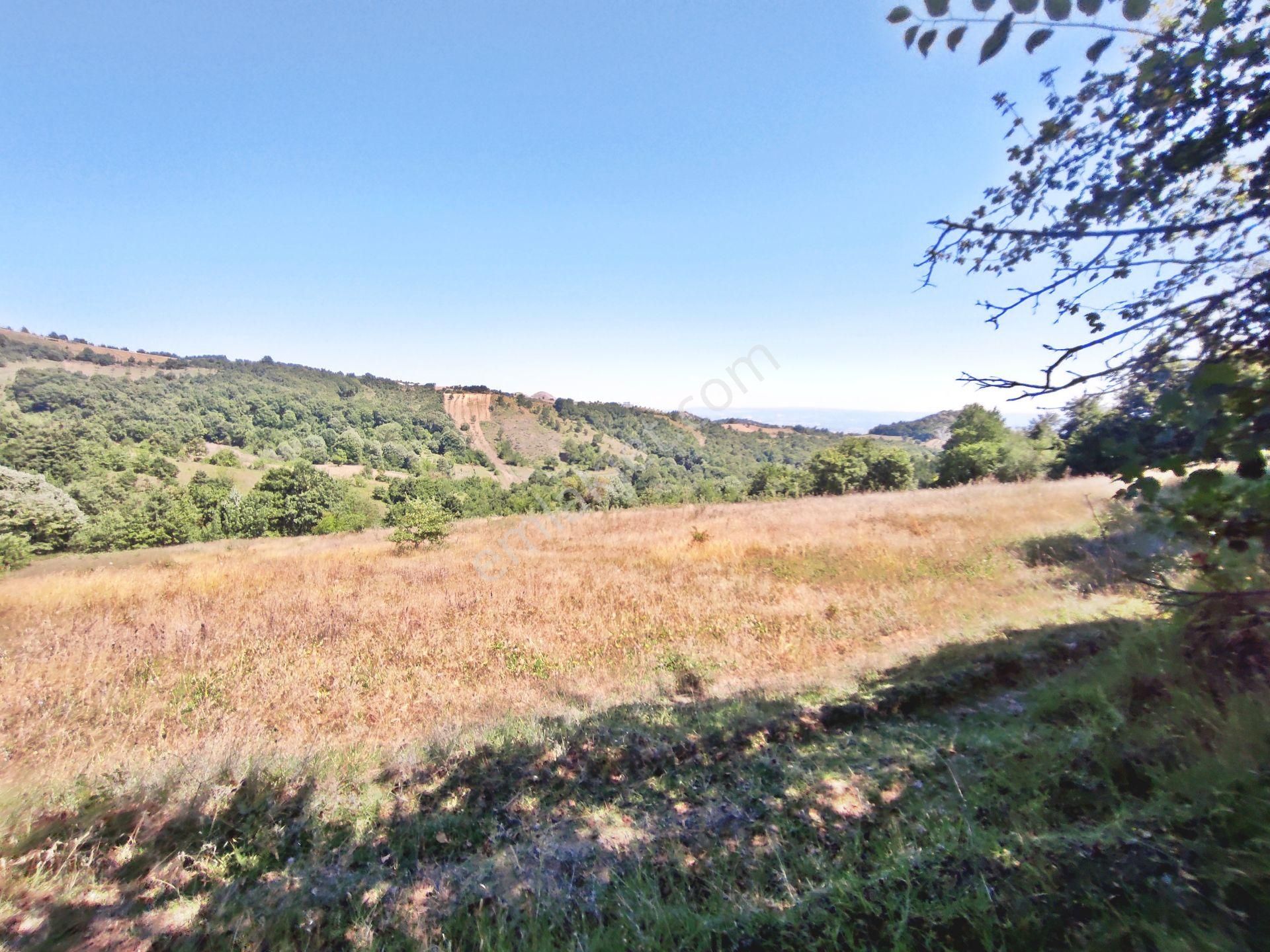 Yenişehir Kirazlı Yayala Da Doğa Manzaralı - 2590 -m2- Tarla - Görsel 5