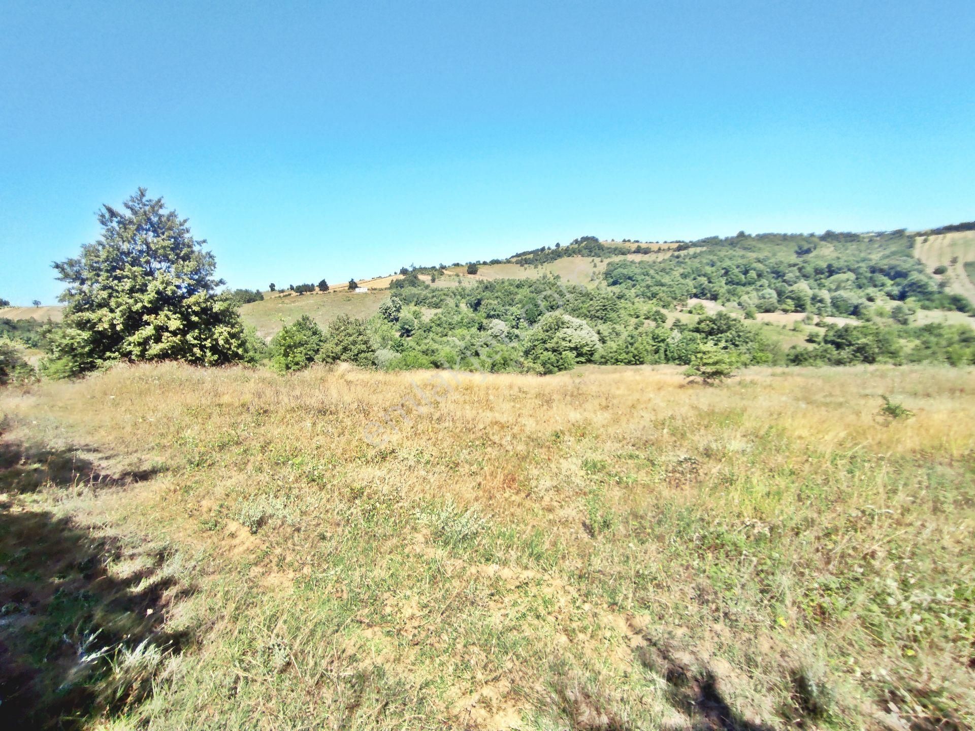 Yenişehir Kirazlı Yayala Da Doğa Manzaralı - 2590 -m2- Tarla - Görsel 11