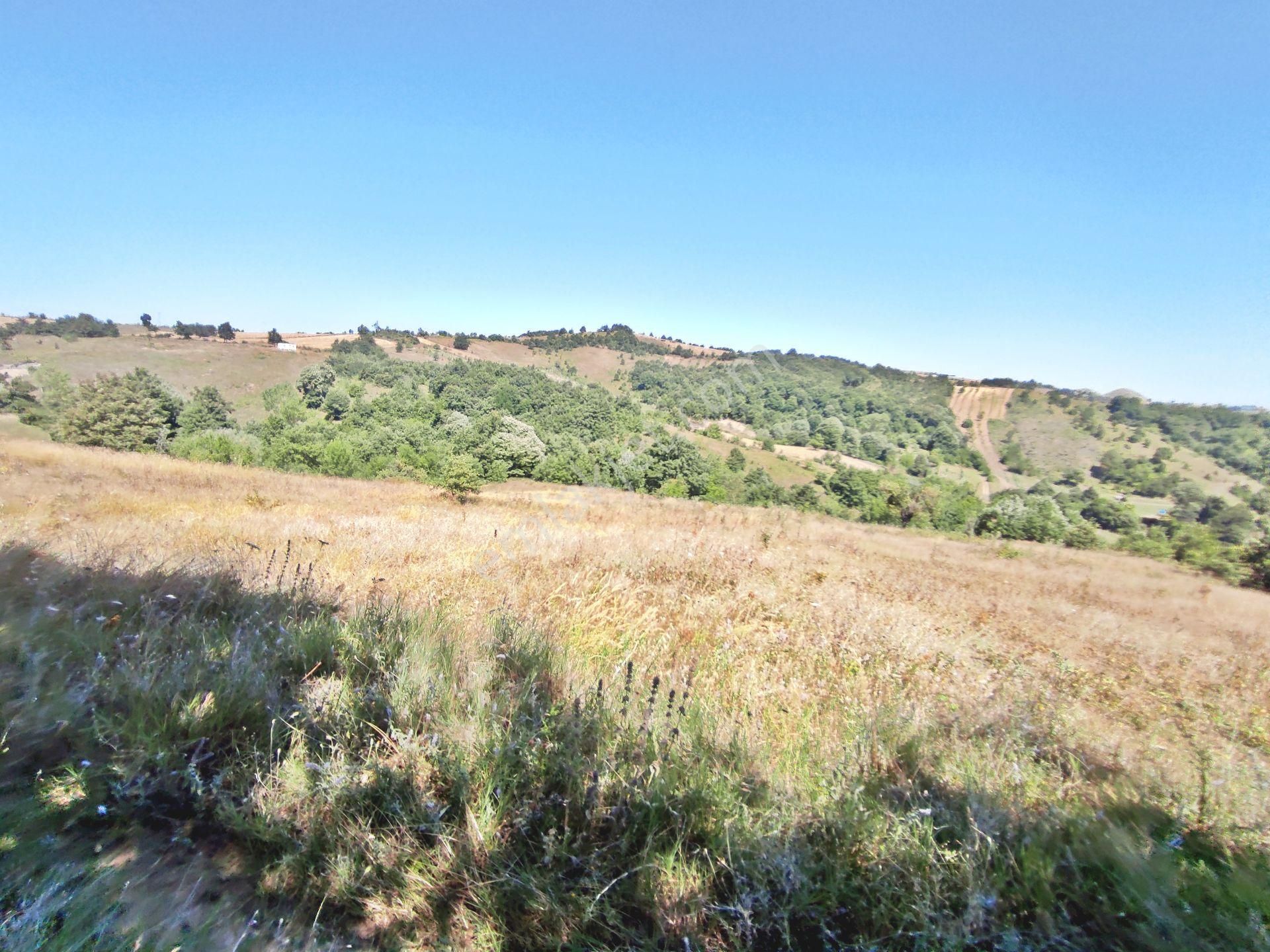 Yenişehir Kirazlı Yayala Da Doğa Manzaralı - 2590 -m2- Tarla - Görsel 3