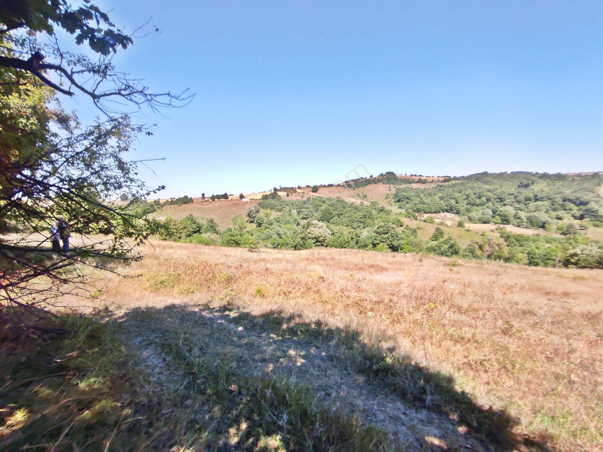 Yenişehir Kirazlı Yayala Da Doğa Manzaralı - 2590 -m2- Tarla - Görsel 16