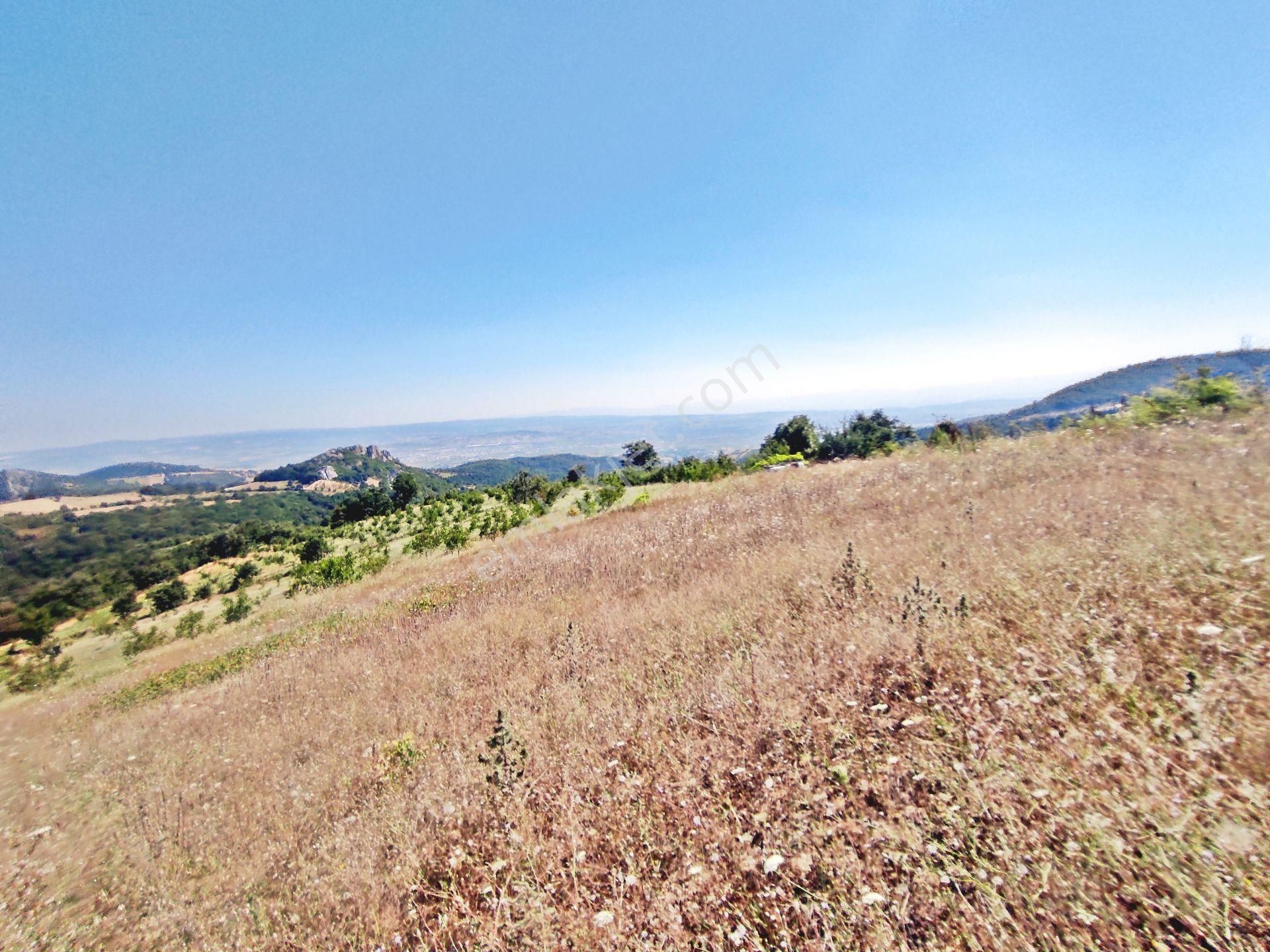 Yenişehir Kirazlı Yayala Da Doğa Manzaralı - 2590 -m2- Tarla - Görsel 8