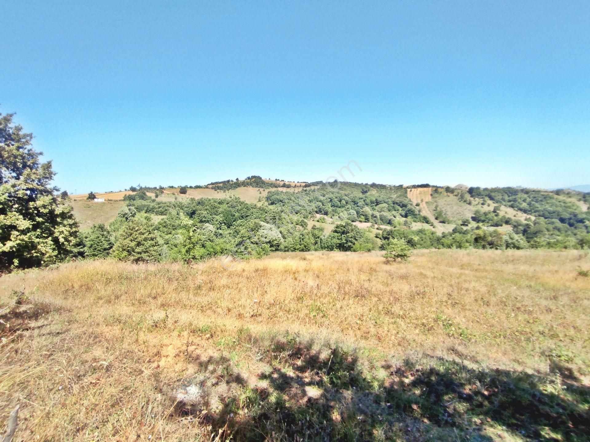 Yenişehir Kirazlı Yayala Da Doğa Manzaralı - 2590 -m2- Tarla - Görsel 10