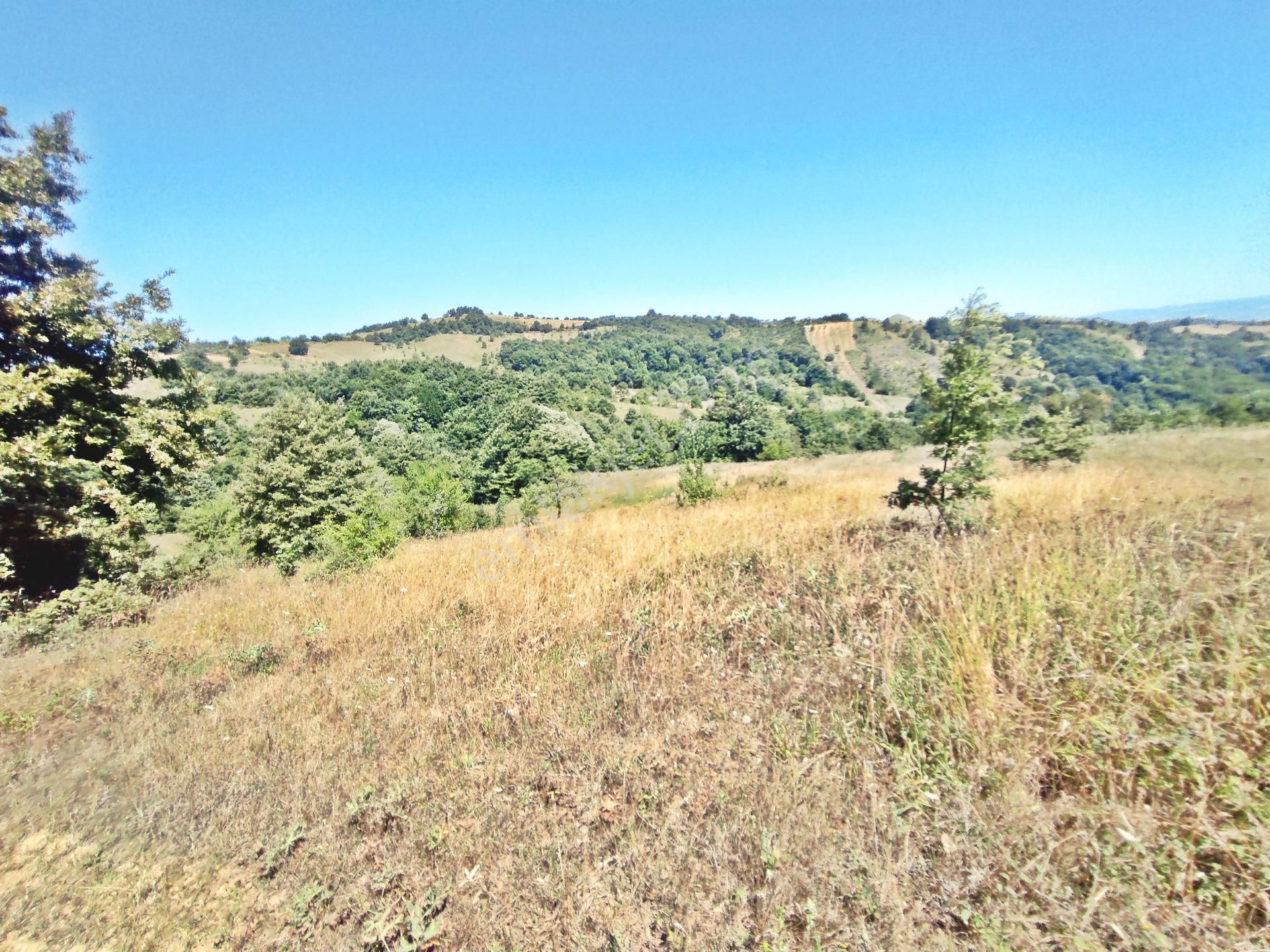 Yenişehir Kirazlı Yayala Da Doğa Manzaralı - 2590 -m2- Tarla - Görsel 15