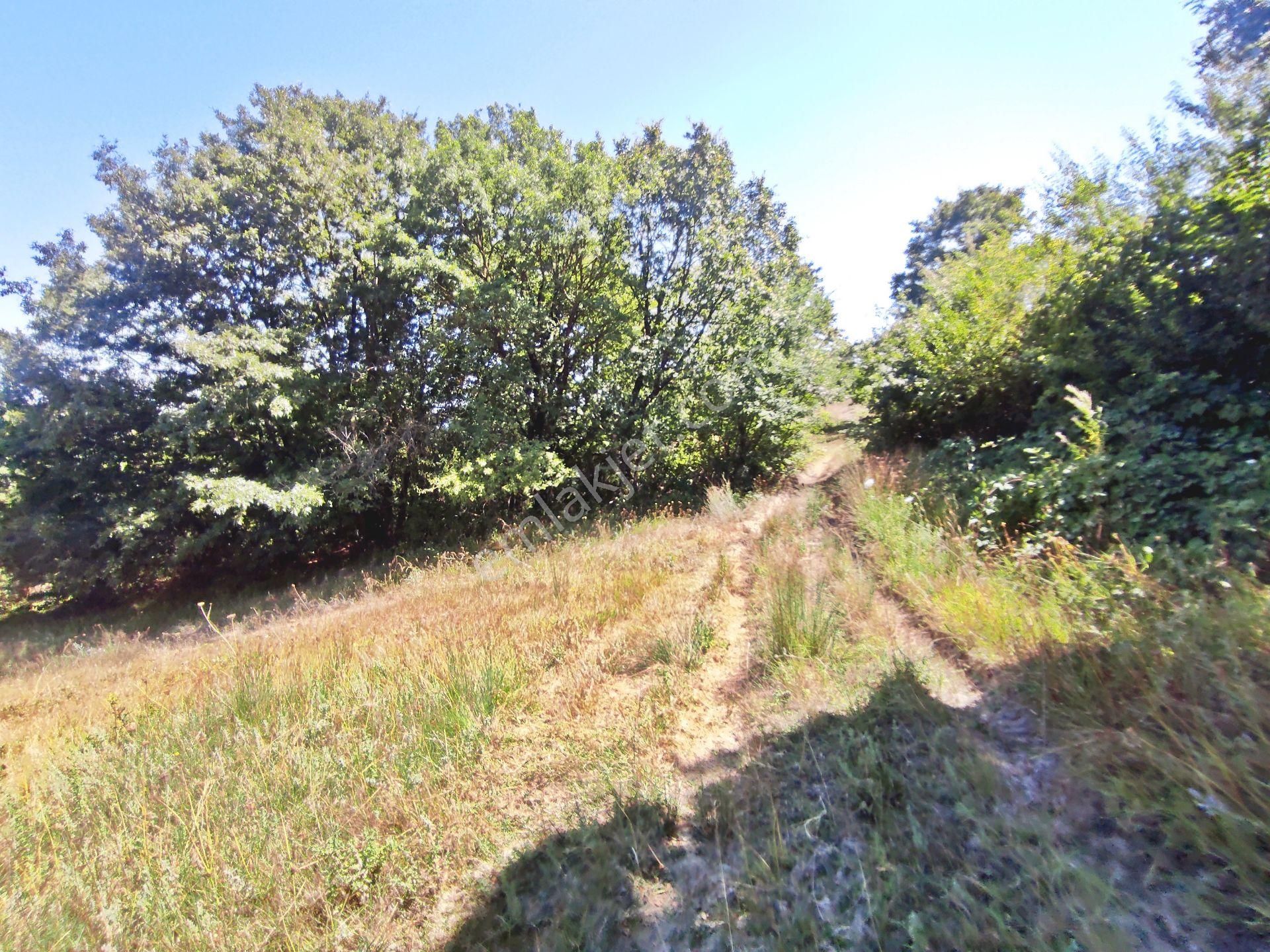 Yenişehir Kirazlı Yayala Da Doğa Manzaralı - 2590 -m2- Tarla - Görsel 19