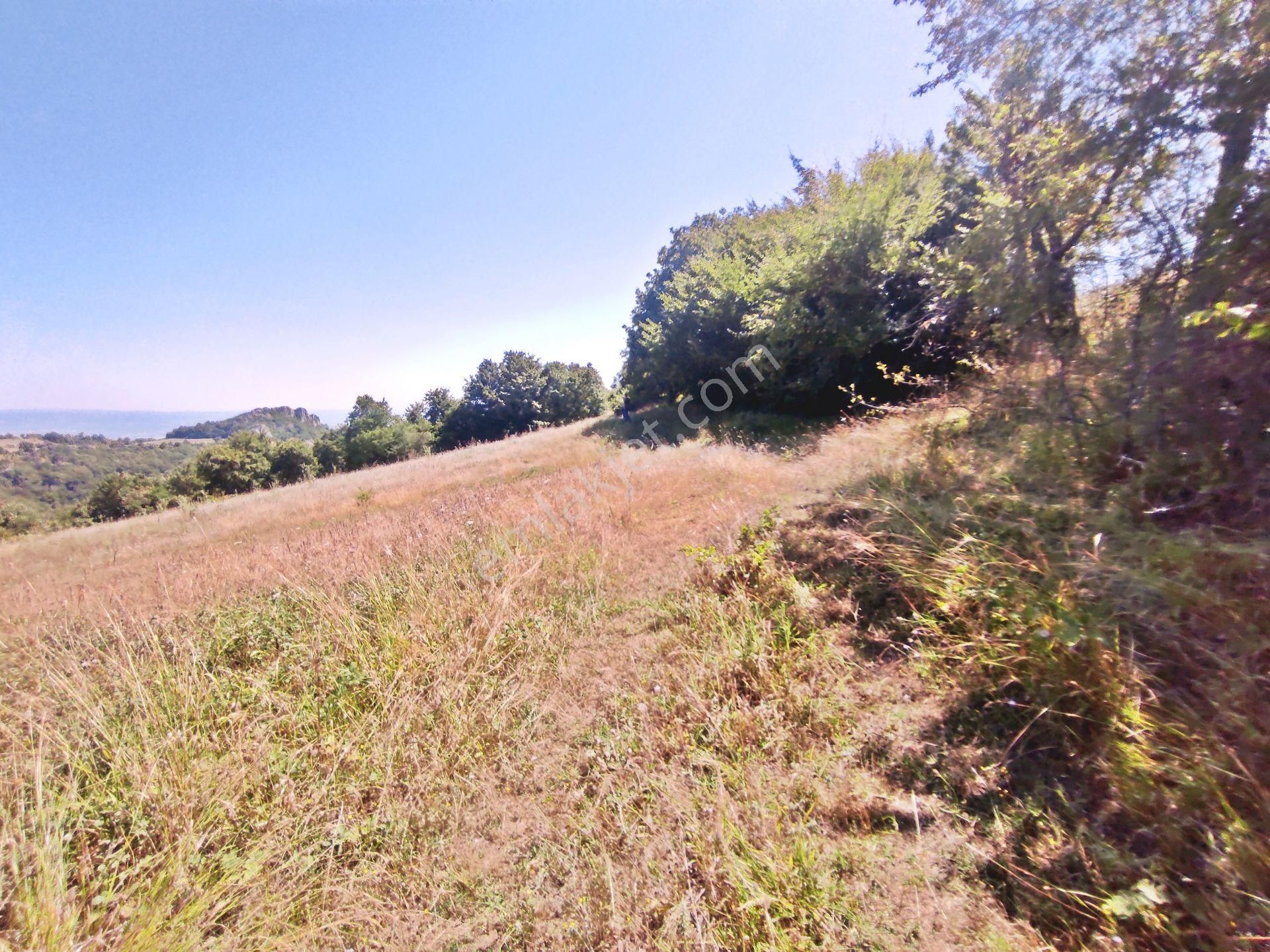 Yenişehir Kirazlı Yayala Da Doğa Manzaralı - 2590 -m2- Tarla - Görsel 26