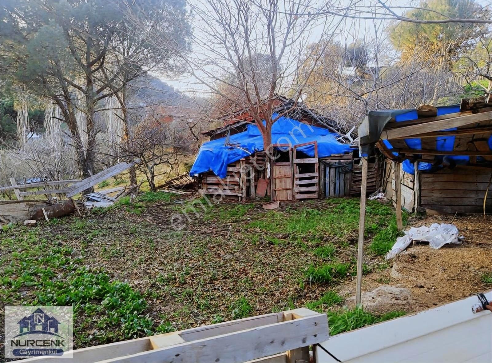 Balıkesir Burhaniye Subeylidere Köyünde Satılık Bahçeli Köy Evi - Görsel 4