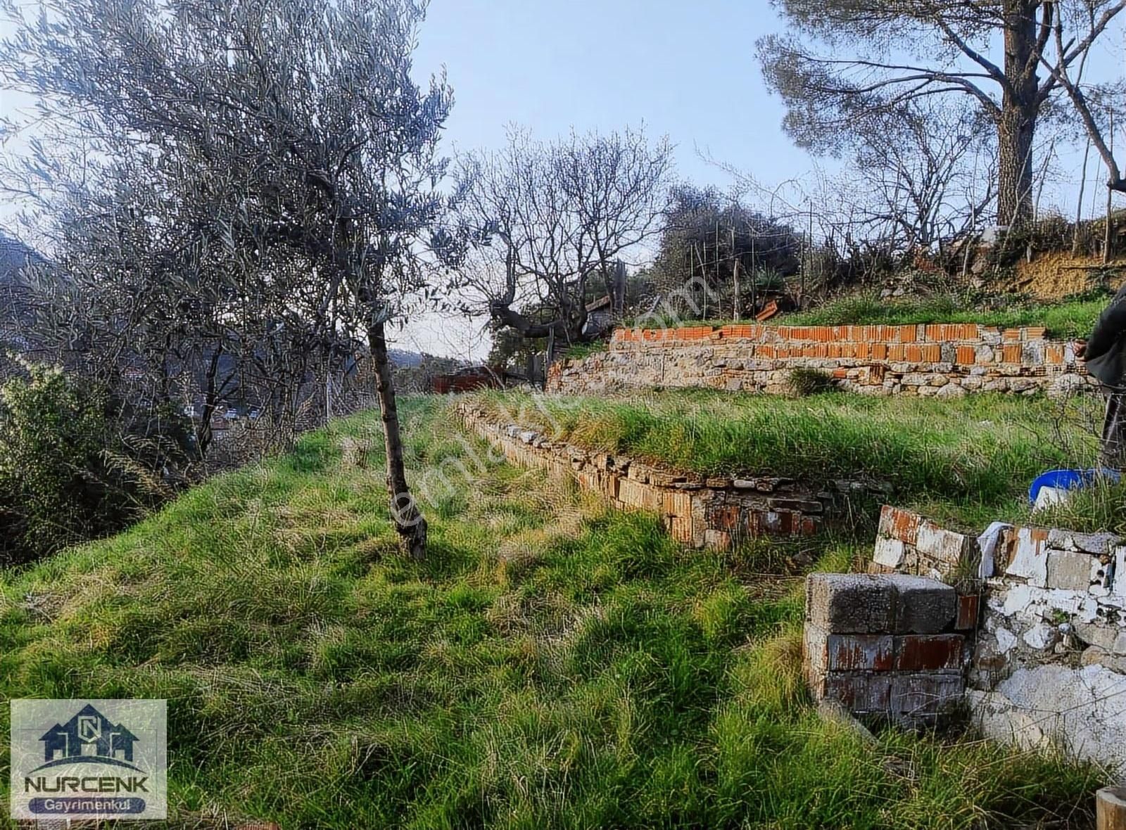 Balıkesir Burhaniye Subeylidere Köyünde Satılık Bahçeli Köy Evi - Görsel 6