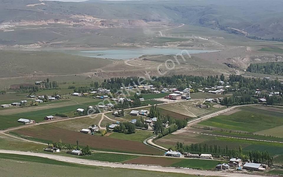 Coldwell Banker'den Pasinlerde Ardıçlıya 1.87 Km 20 Dönüm - Görsel 3