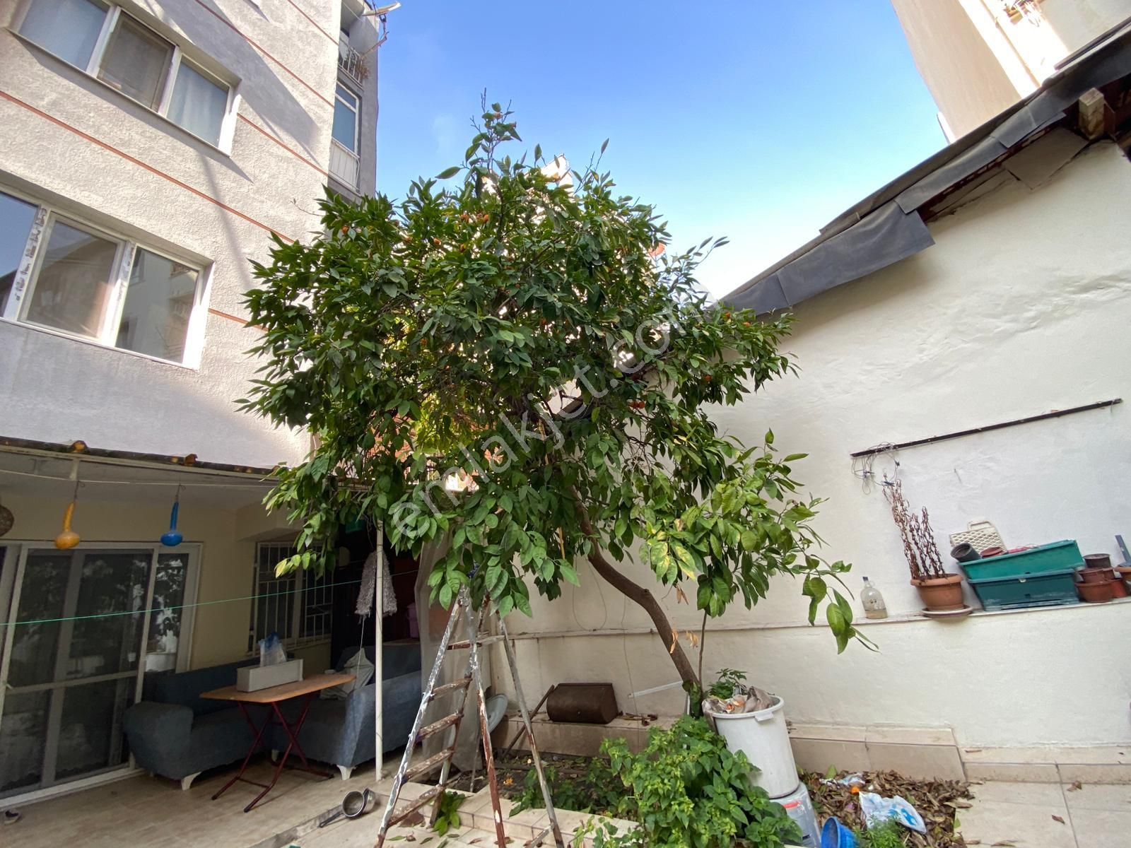🏡nişancı Paşa Mahallesi 🏡 ✅2+1 90m2 5 Katlının Zemin Katı ❇️kombi Petekli Özelikli - Görsel 15