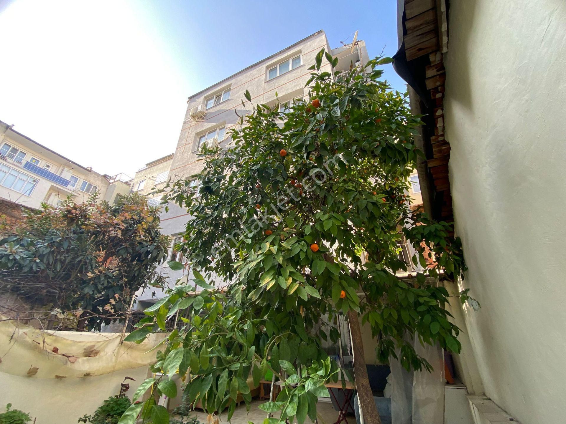 🏡nişancı Paşa Mahallesi 🏡 ✅2+1 90m2 5 Katlının Zemin Katı ❇️kombi Petekli Özelikli - Görsel 9