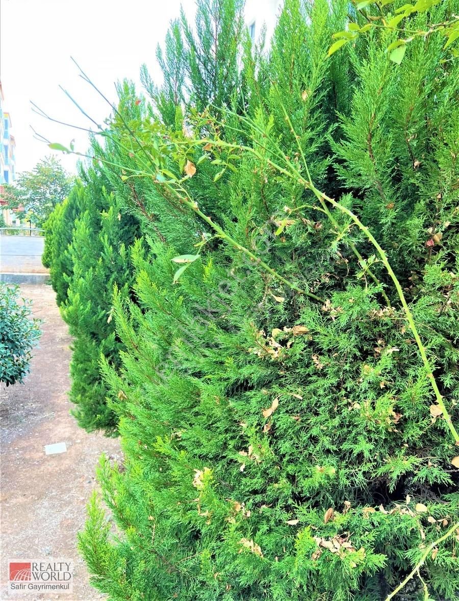 Yenişafak - Karedelen Sitesi Kiralık 3+1 Daire - Bireysel Kombi - Görsel 14