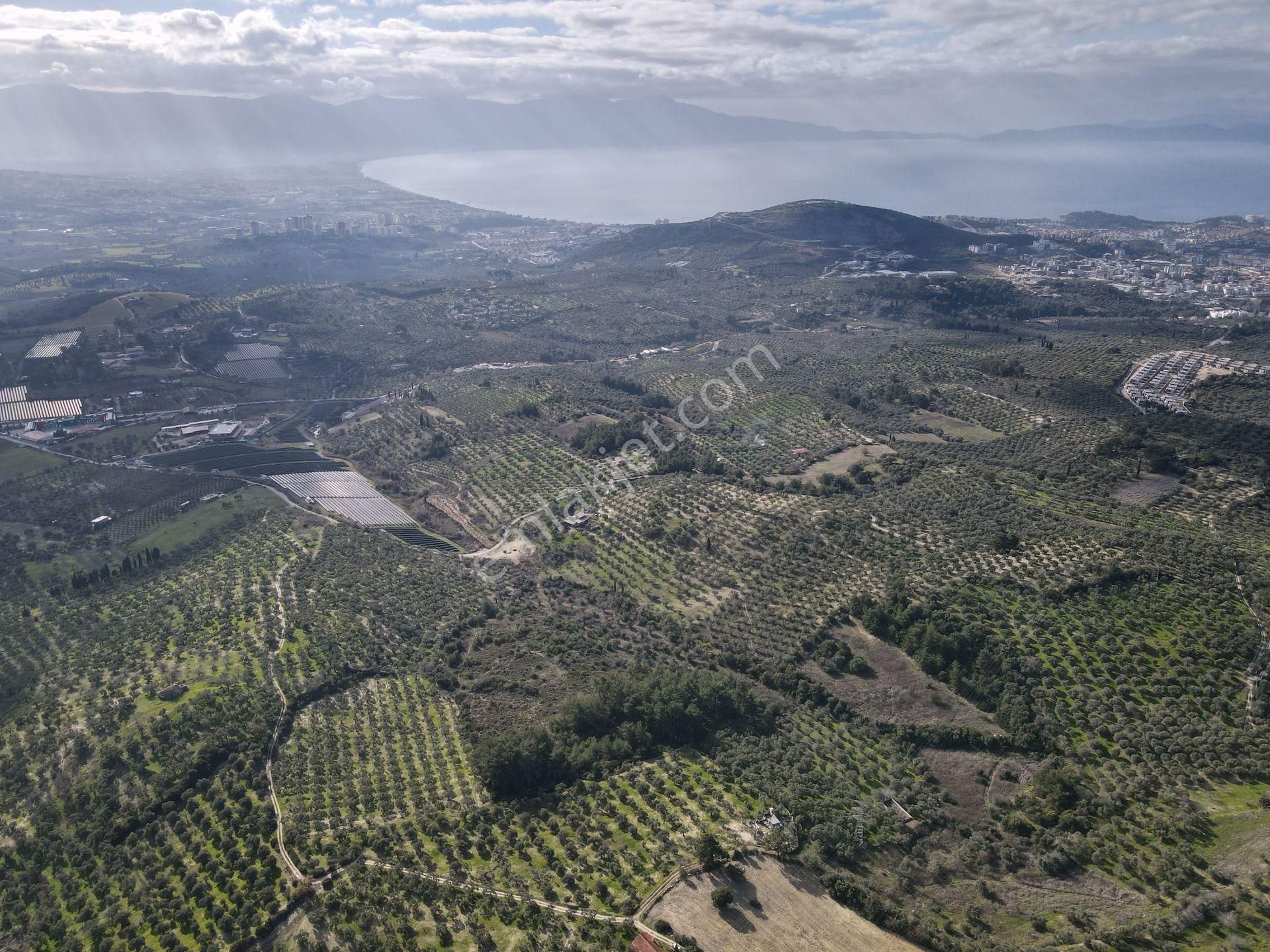 Kuşadası'nın Değerlı Bölgesınde 27.924 M2 Arazı! - Görsel 4