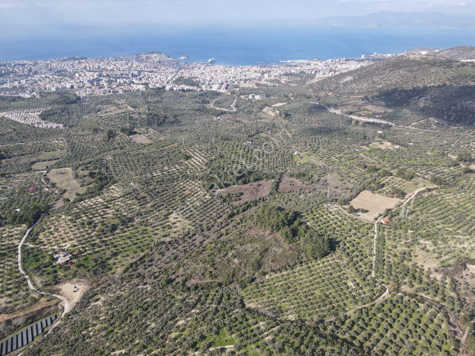 Kuşadası'nın Değerlı Bölgesınde 27.924 M2 Arazı! - Görsel 6