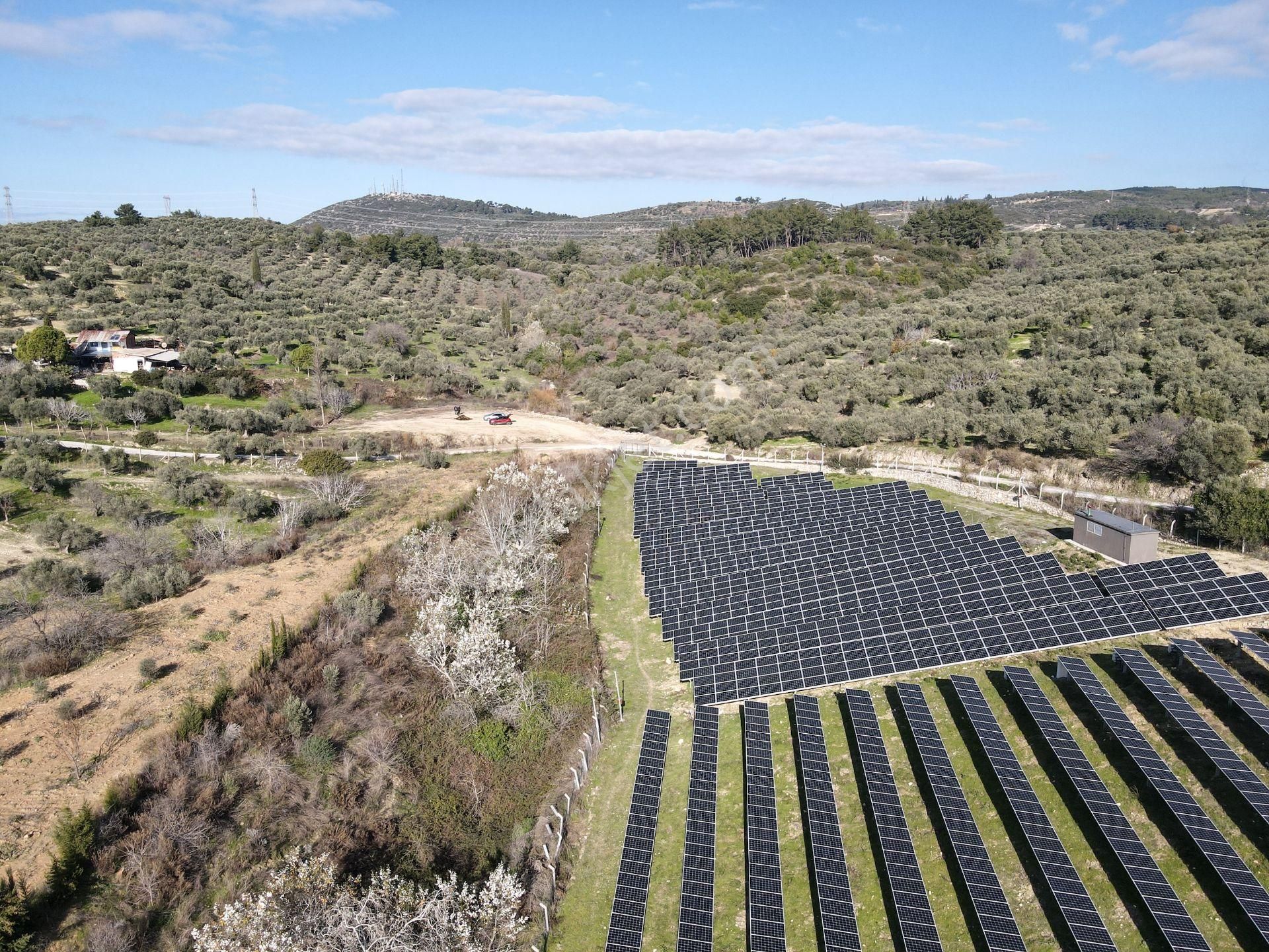 Kuşadası'nın Değerlı Bölgesınde 27.924 M2 Arazı! - Görsel 7