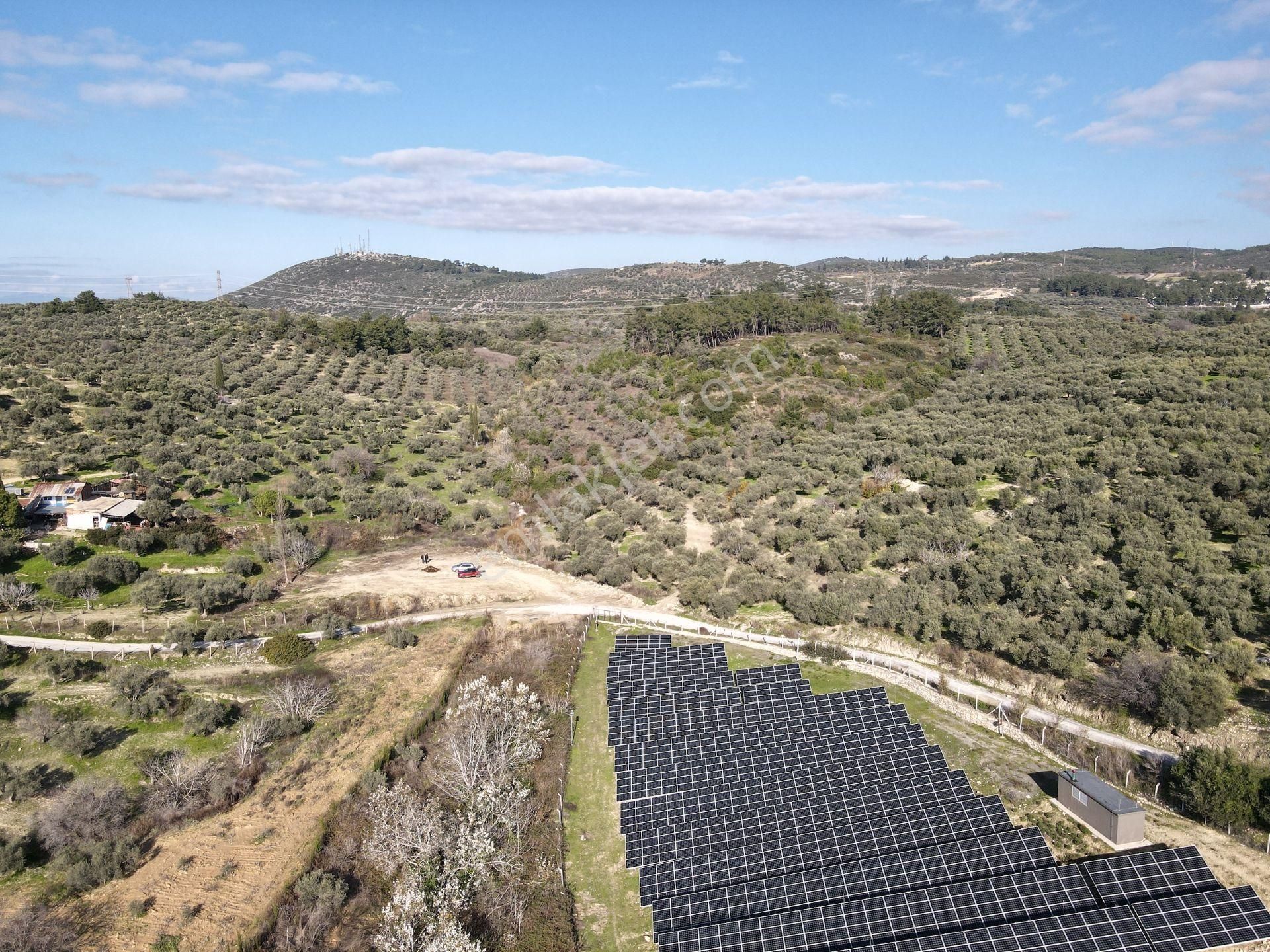 Kuşadası'nın Değerlı Bölgesınde 27.924 M2 Arazı! - Görsel 8