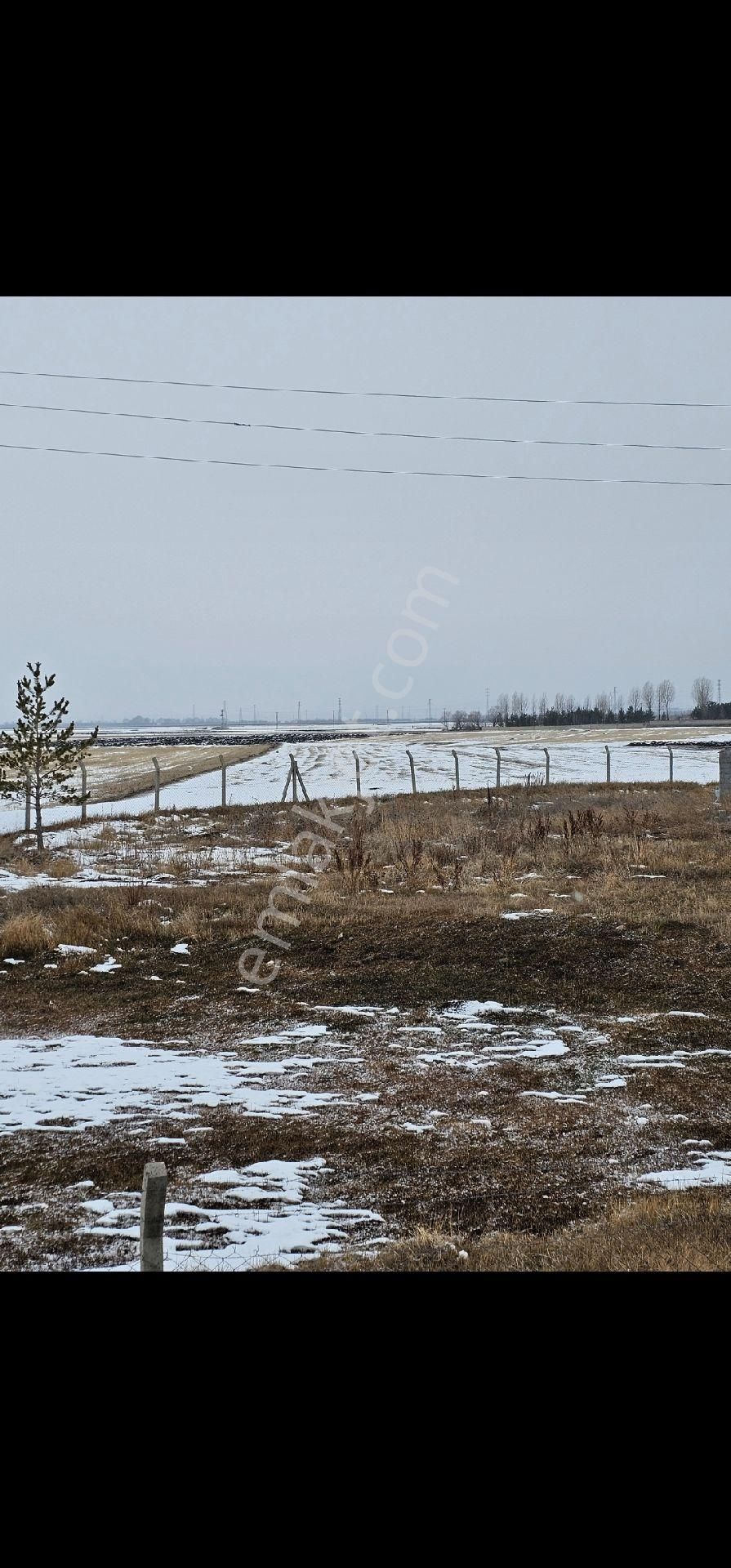 Acil Satılık Kars Karacaören Koyunde Satilik Tarla - Görsel 10
