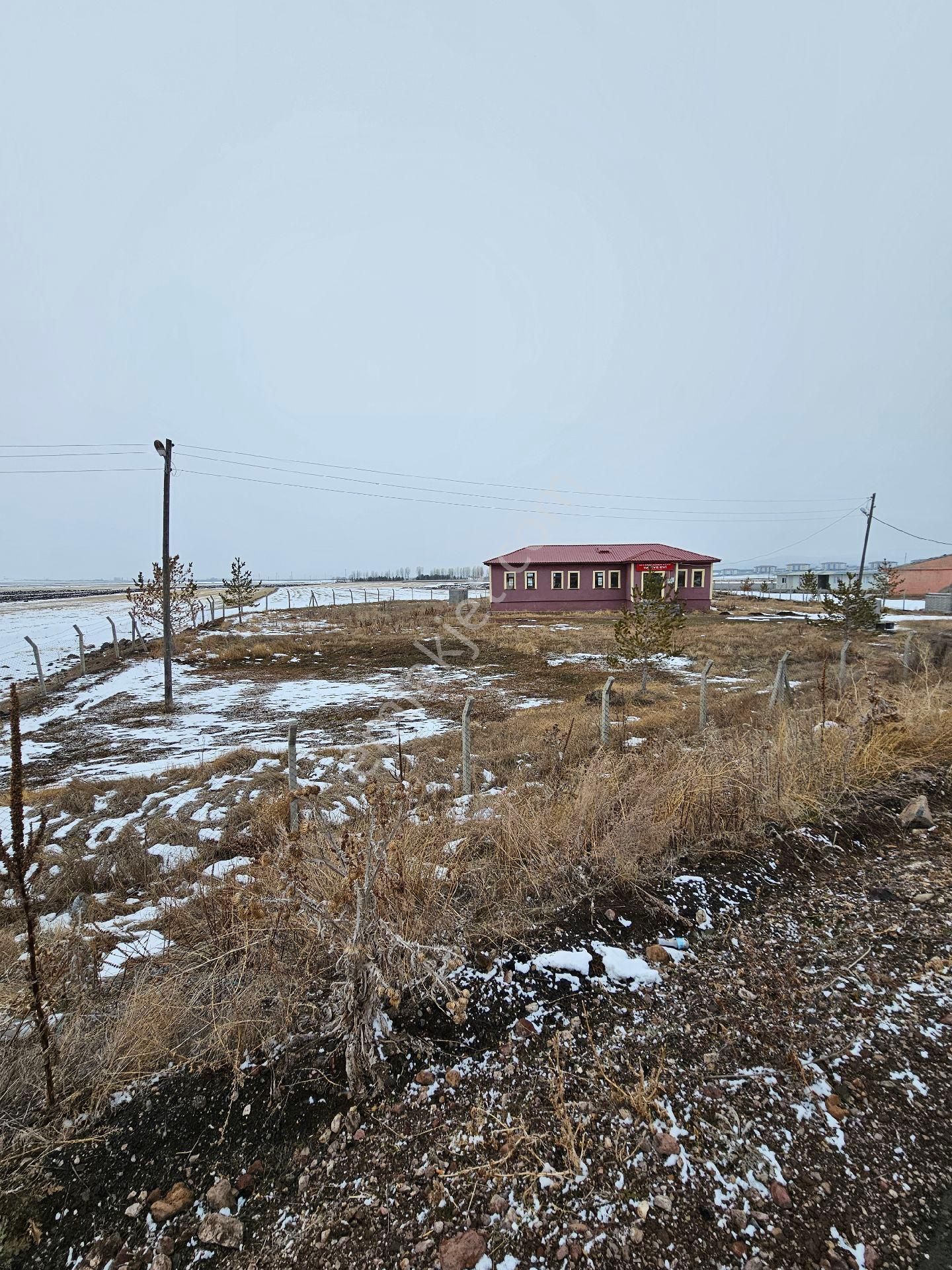 Acil Satılık Kars Karacaören Koyunde Satilik Tarla - Görsel 11