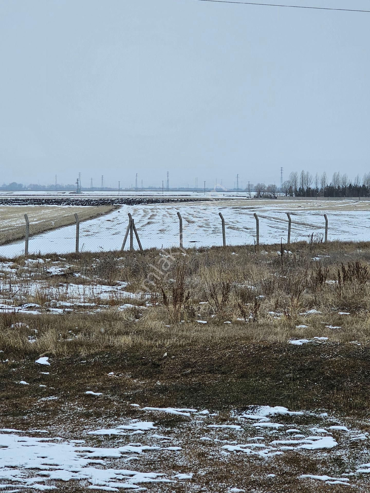 Acil Satılık Kars Karacaören Koyunde Satilik Tarla - Görsel 2