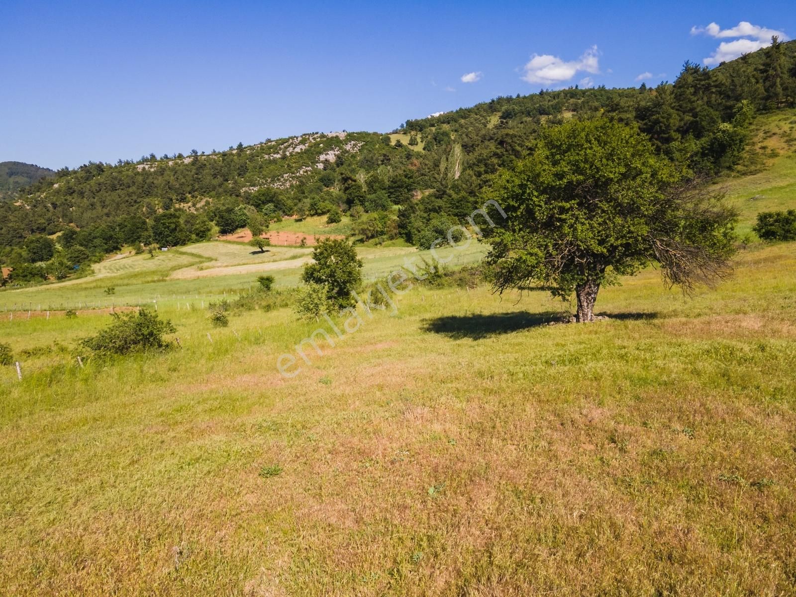 Yatırım Başkenti Balıkesir Kepsut'ta Köyiçi 328m² İmarlı Arsa - Görsel 31