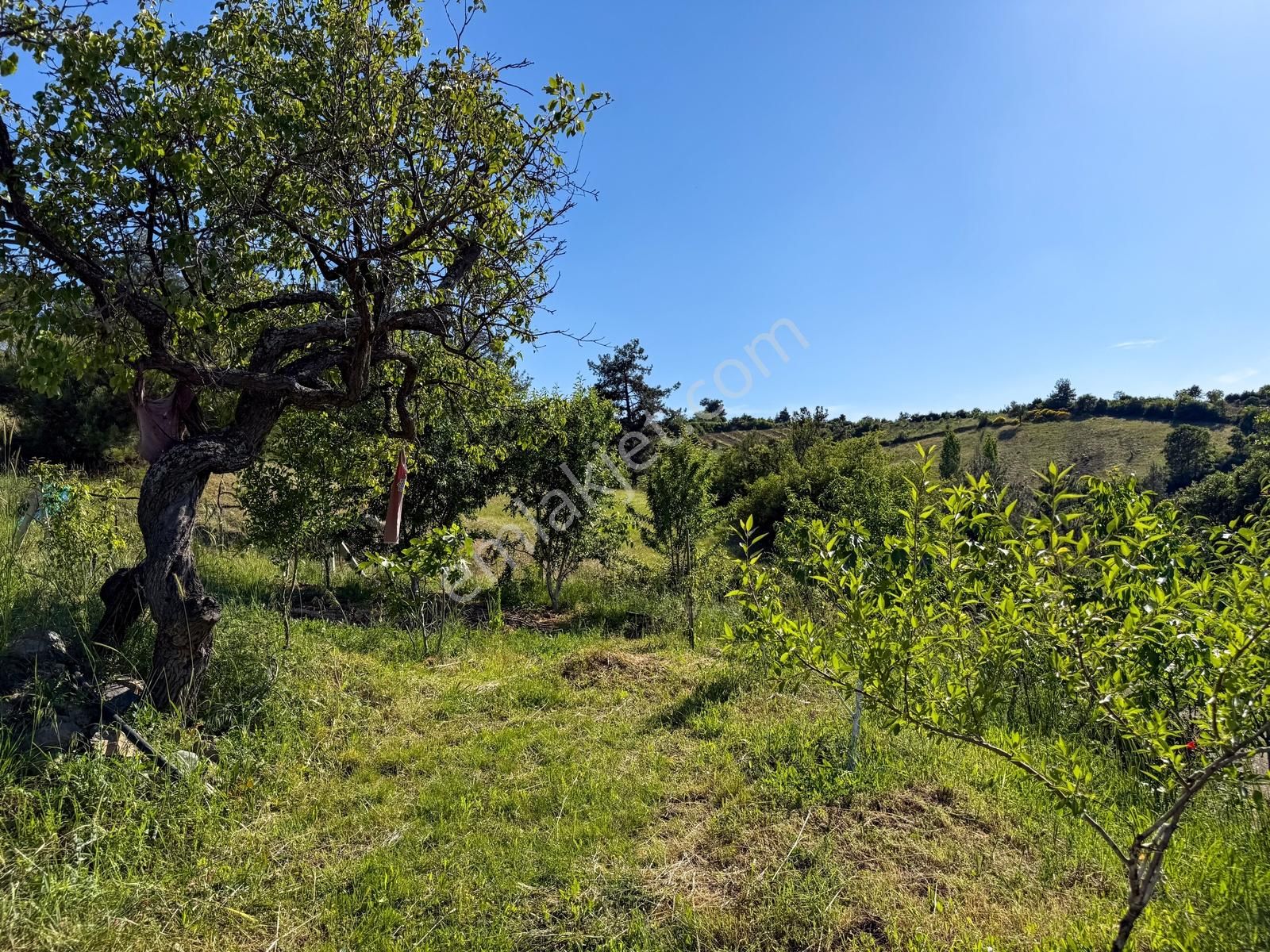 Yatırım Başkenti Balıkesir Kepsut'ta Köyiçi 328m² İmarlı Arsa - Görsel 10