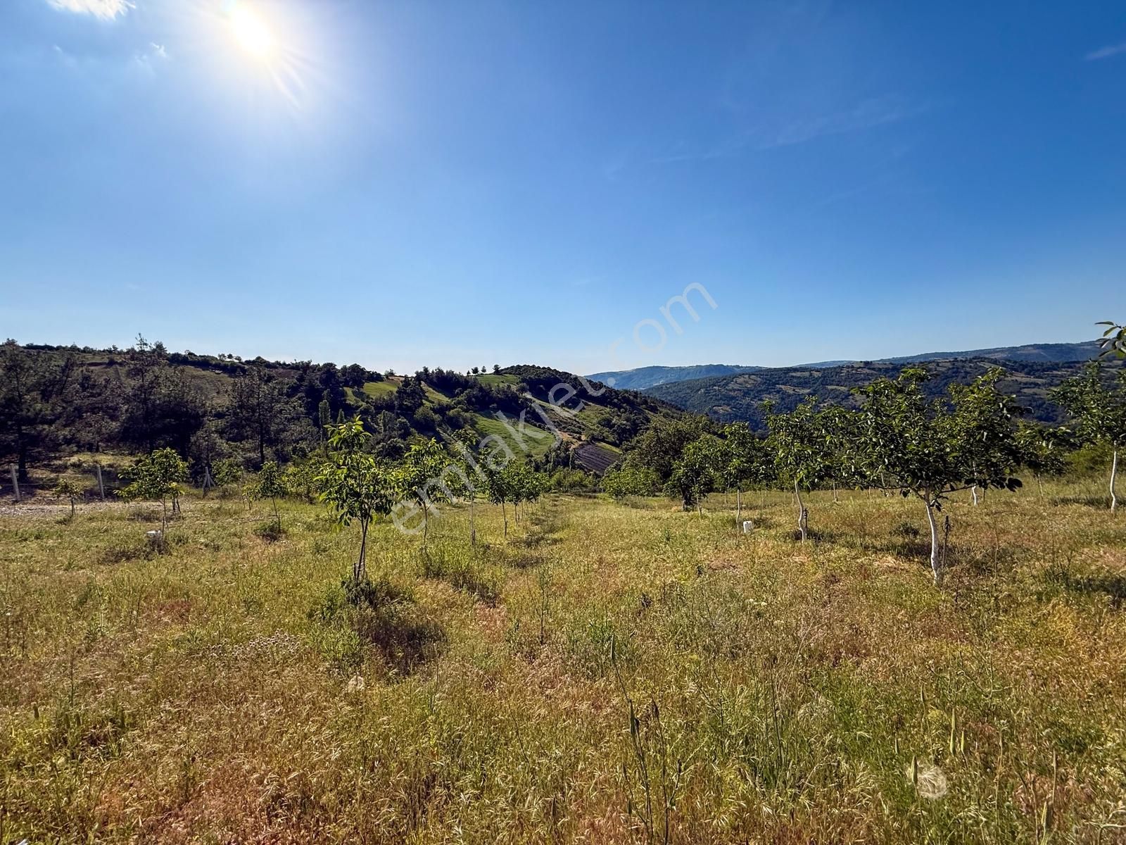 Yatırım Başkenti Balıkesir Kepsut'ta Köyiçi 328m² İmarlı Arsa - Görsel 30