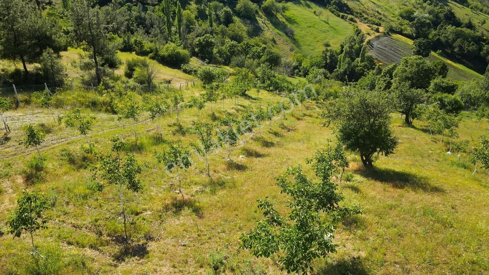 Yatırım Başkenti Balıkesir Kepsut'ta Köyiçi 328m² İmarlı Arsa - Görsel 4