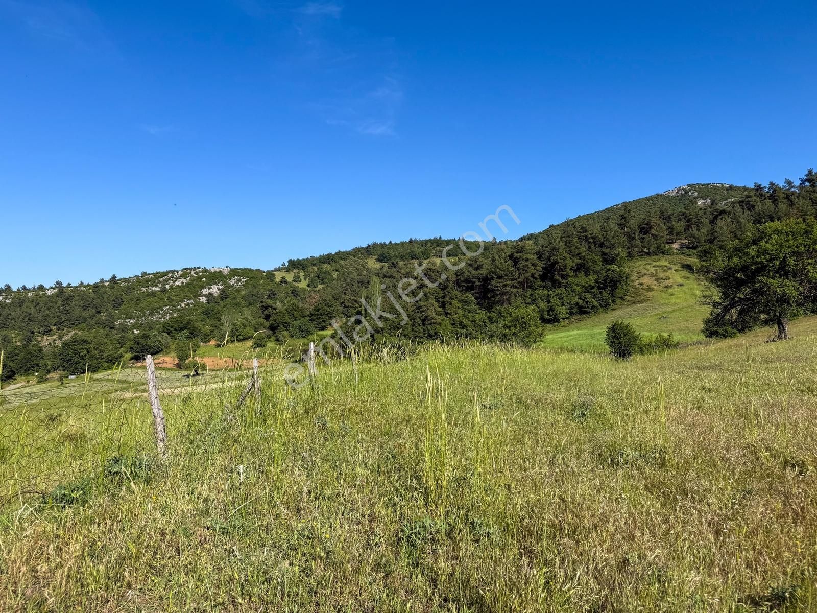 Yatırım Başkenti Balıkesir Kepsut'ta Köyiçi 328m² İmarlı Arsa - Görsel 34