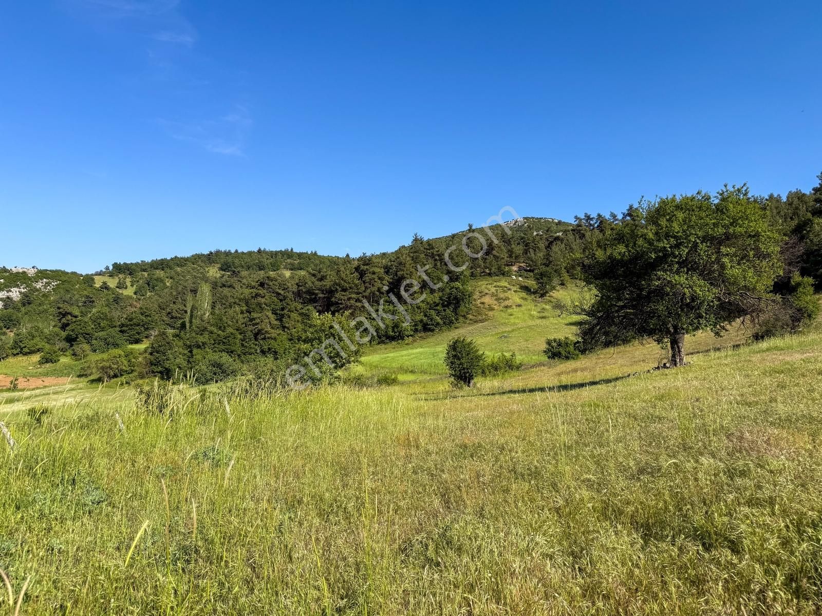 Yatırım Başkenti Balıkesir Kepsut'ta Köyiçi 328m² İmarlı Arsa - Görsel 16