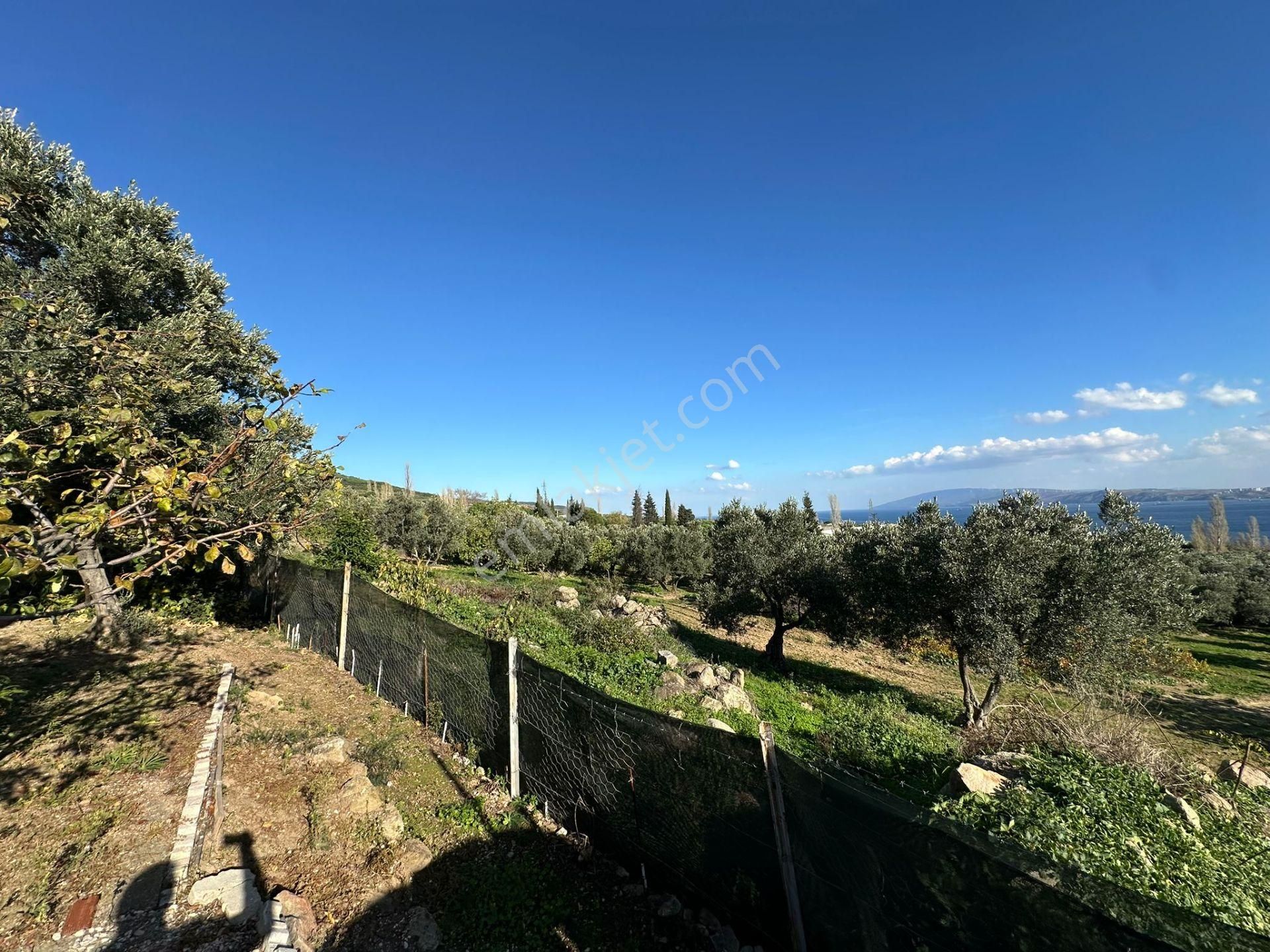 Bandırma- Erdek- Kapıdağ Yarımadasında Deniz Manzaralı Yazlık - Görsel 23