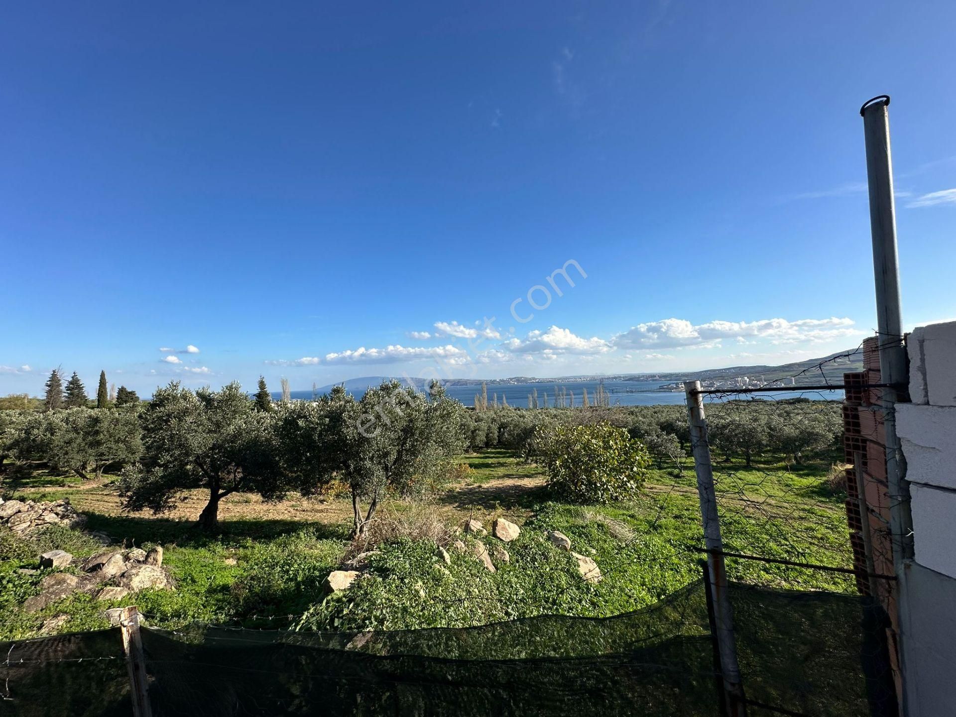 Bandırma- Erdek- Kapıdağ Yarımadasında Deniz Manzaralı Yazlık - Görsel 21